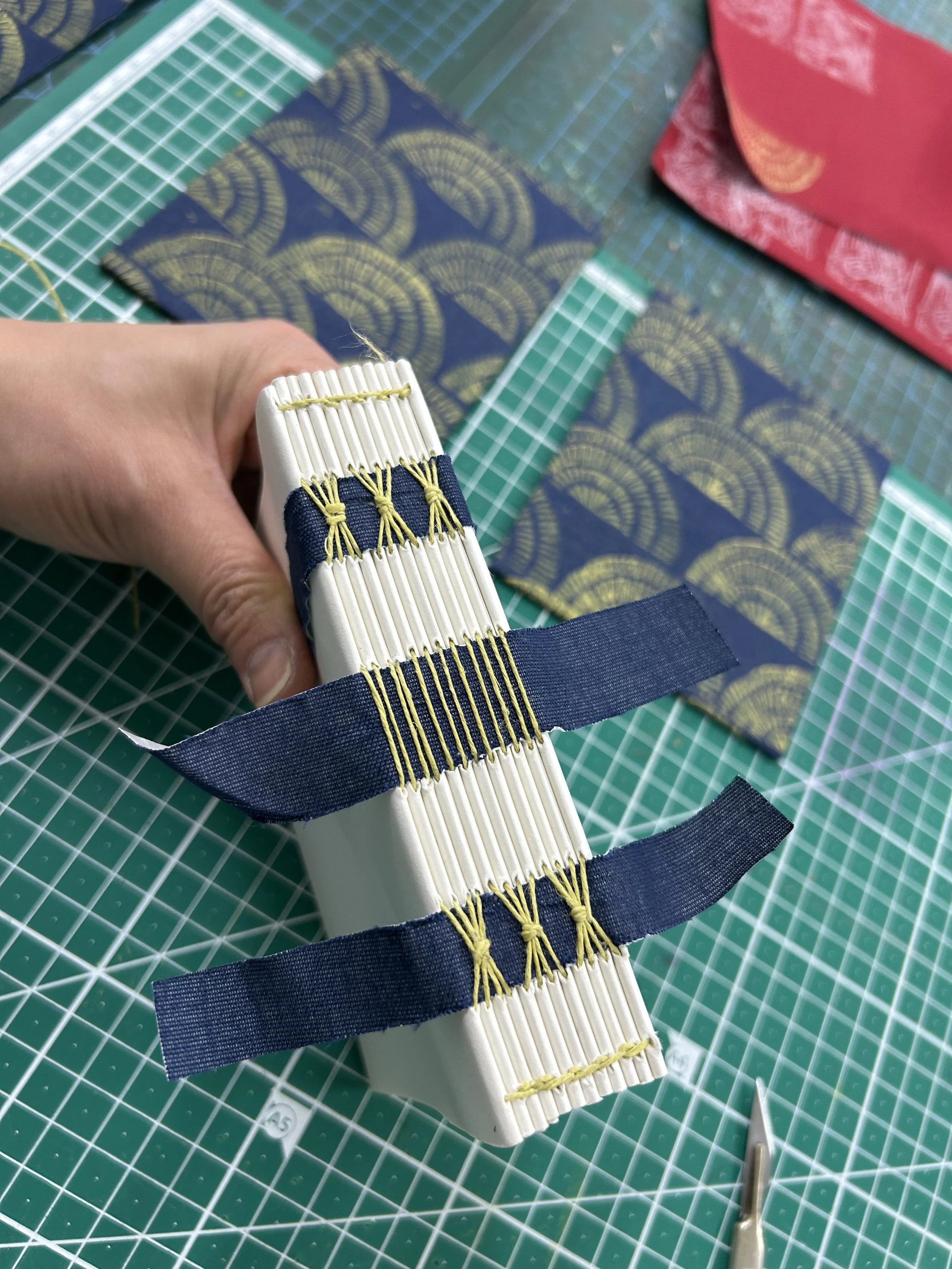 Expose Spine Series 1.01 - 15th March 2026