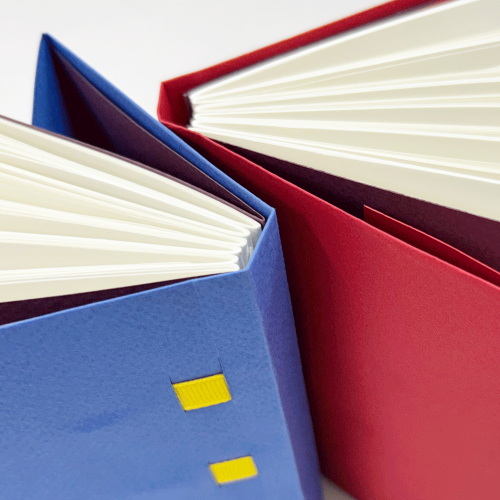 ribbon-slotted-case-3.png