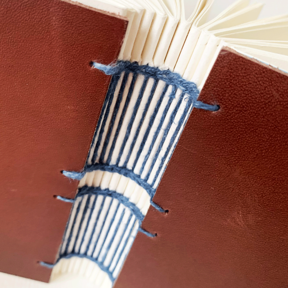 ladder-coptic-4.png