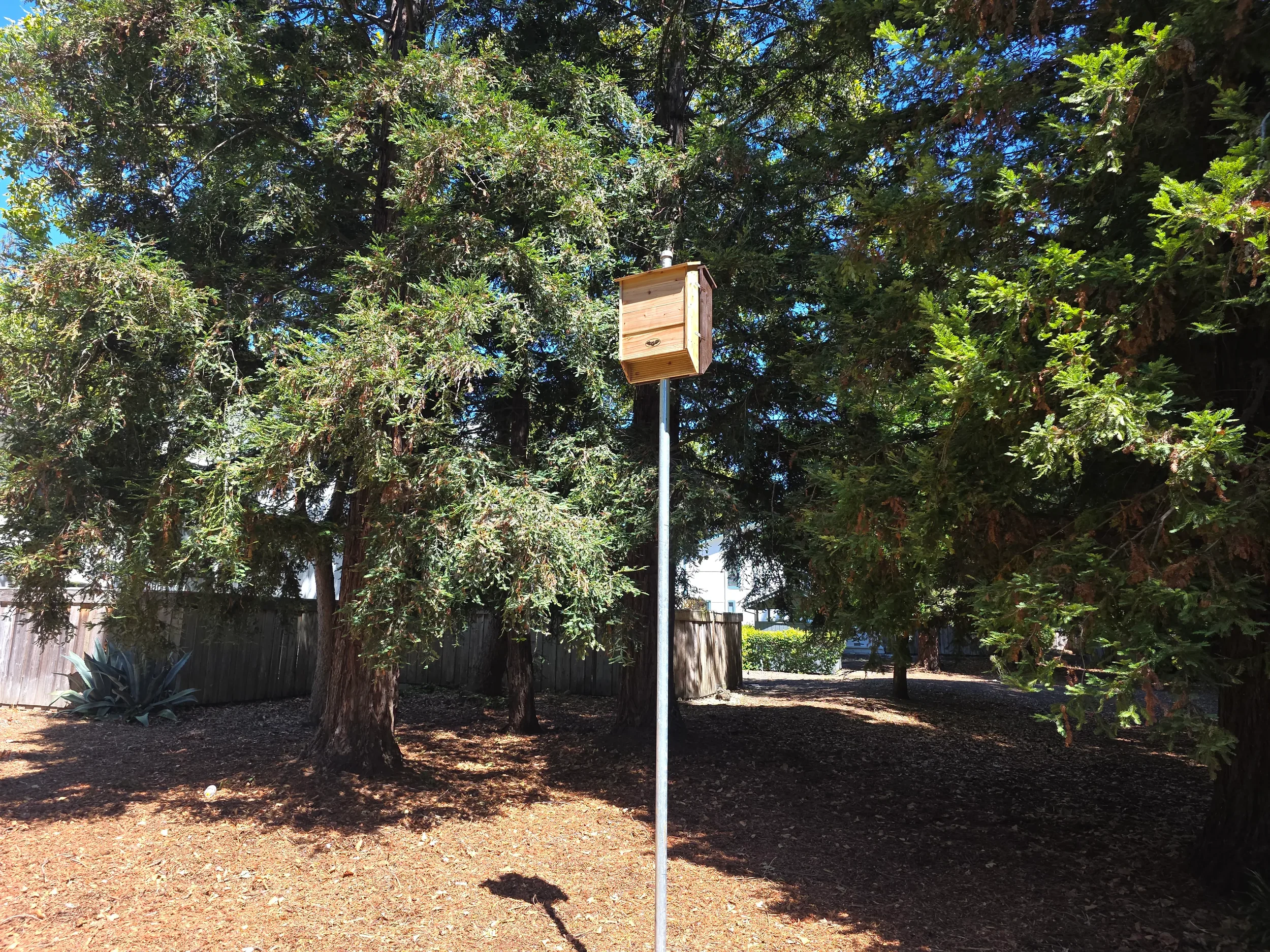 Bat box on property