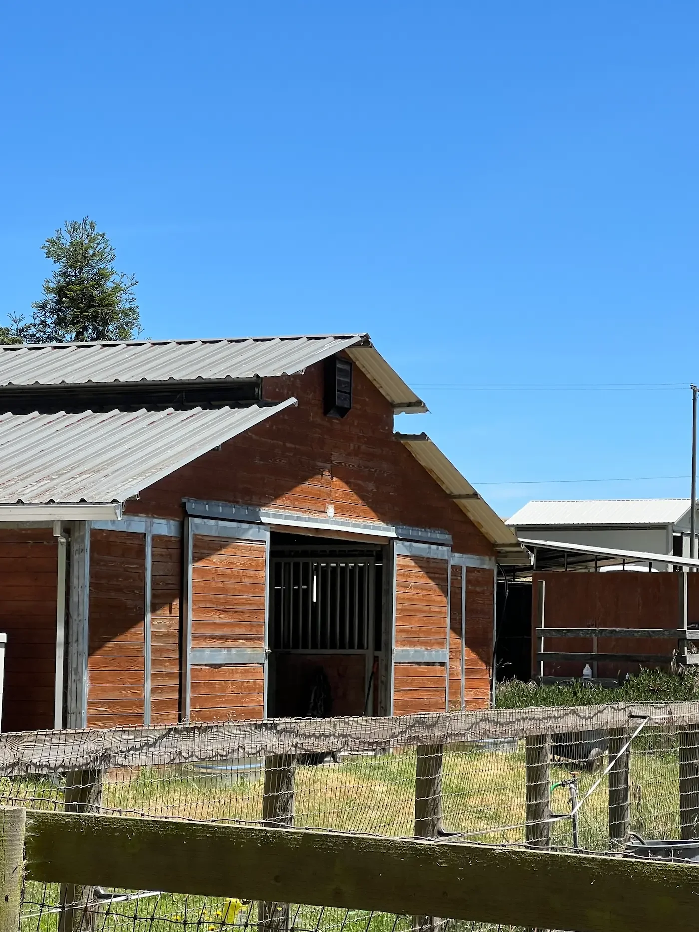 Bat house installed on barn Happy bat Solutions