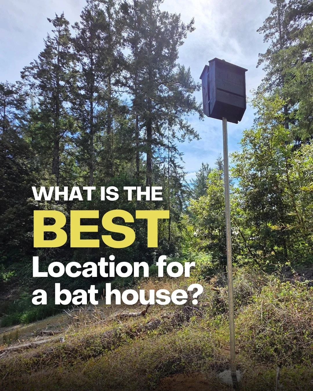 Not all bat houses are installed in the right location.

Sunlight, height, surrounding habitat, and placement all play a major role in whether bats actually move in.

Before you install a bat house, make sure you&rsquo;re setting it up for success.

