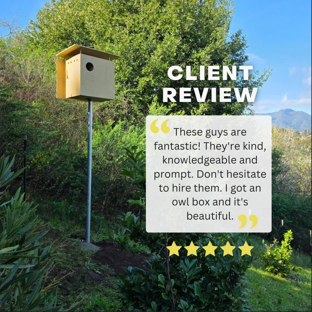 ⭐️⭐️⭐️⭐️⭐️ Client Review

Thank you for the kind words.

Every owl box we install is designed to provide safe nesting habitat for barn owls while helping property owners support local wildlife naturally.

Whether you&rsquo;re managing a vineyard, ran