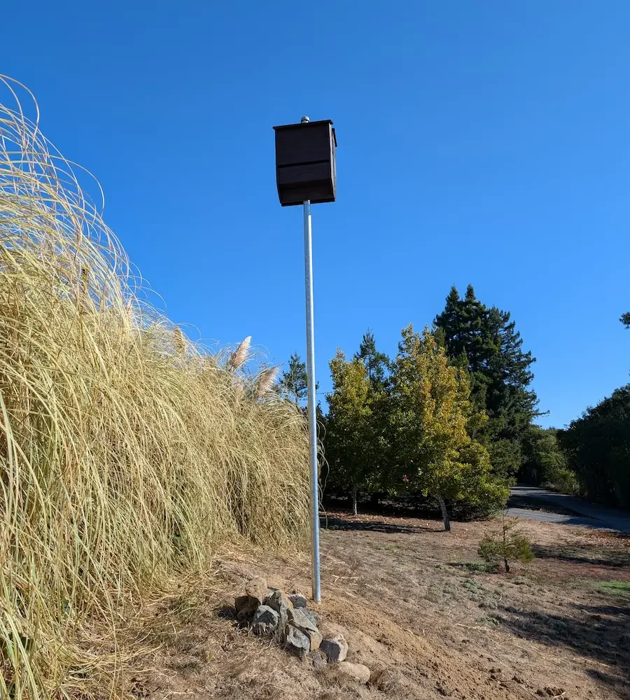 bat box installed the right way