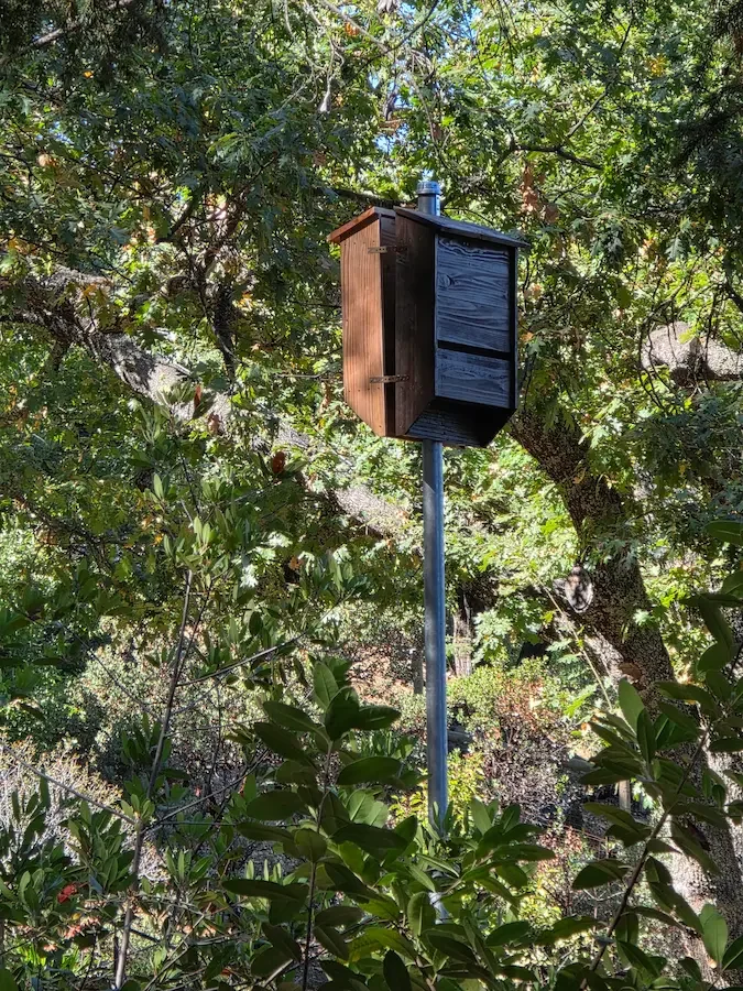 Custom cedar bat house installed on rural property