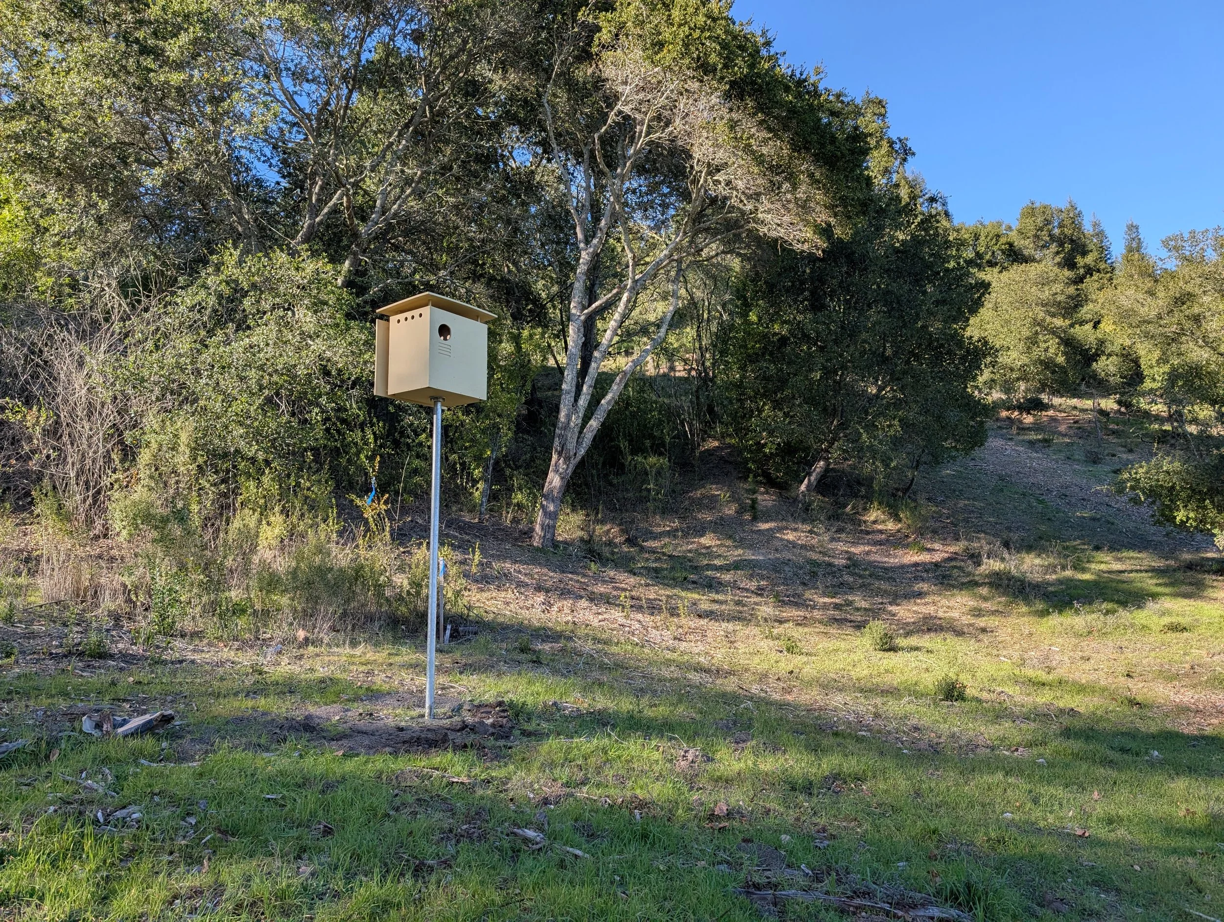 Barn owl box installed on property in Sonoma county