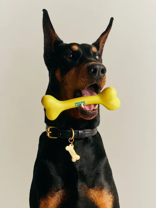 Kith Just Made Your Dog Part of the Aesthetic