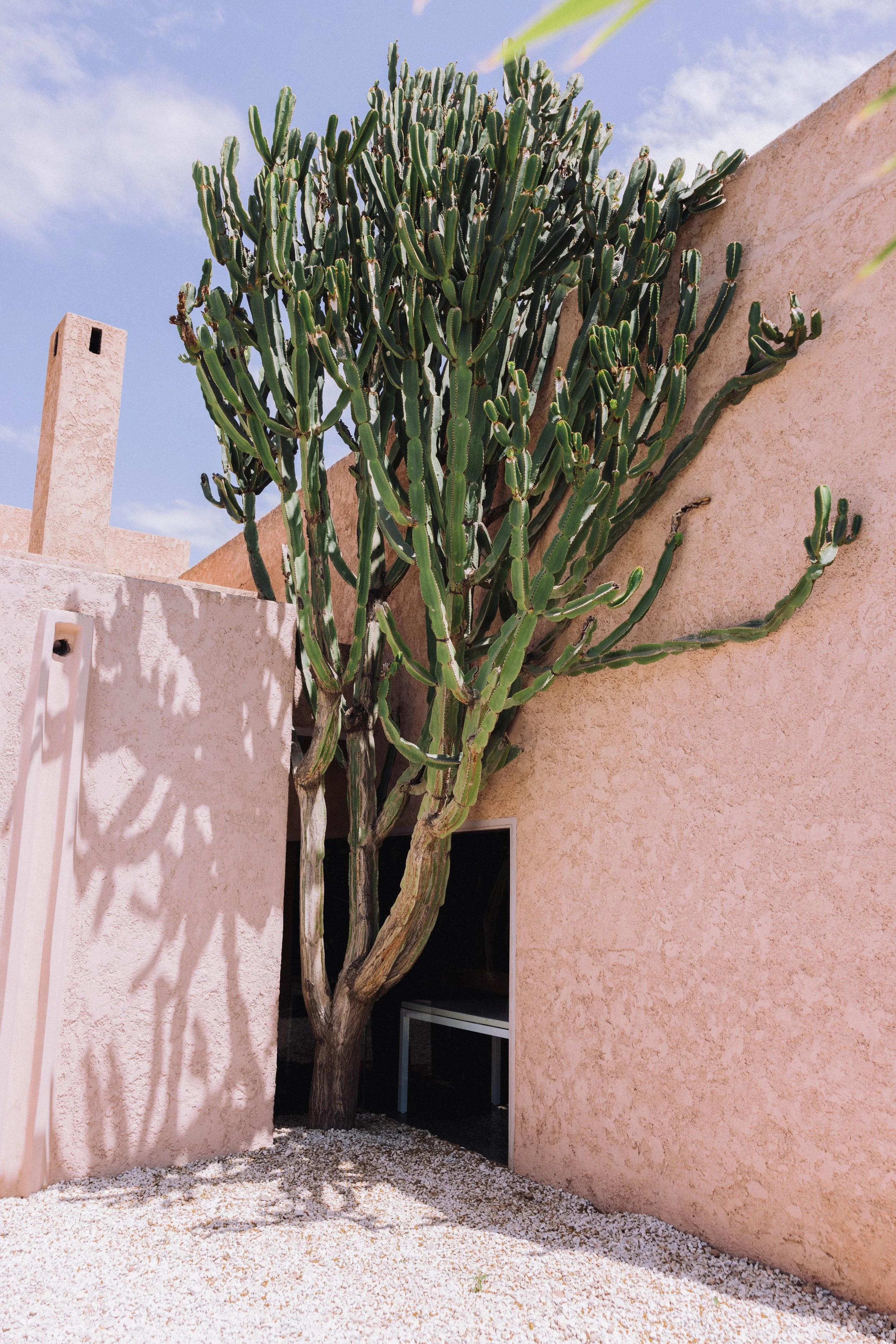 Dar Sabra - Marrakech 