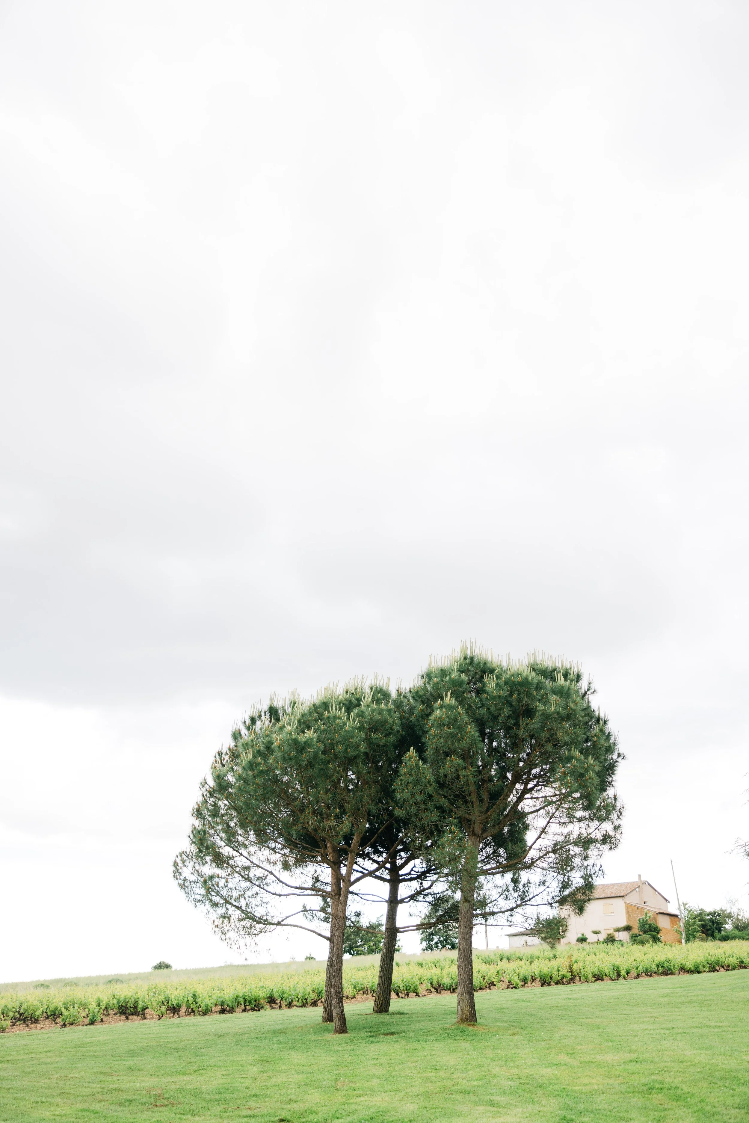 Léa et Romain domaine de la Ruisselière