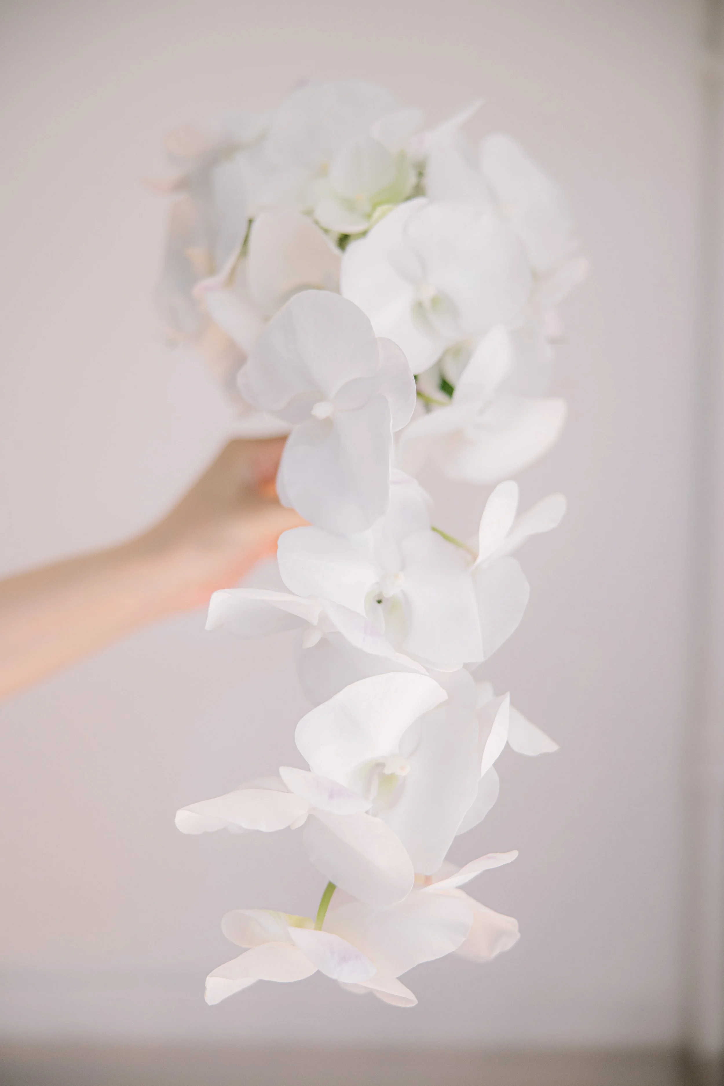 _00A8051.jpg