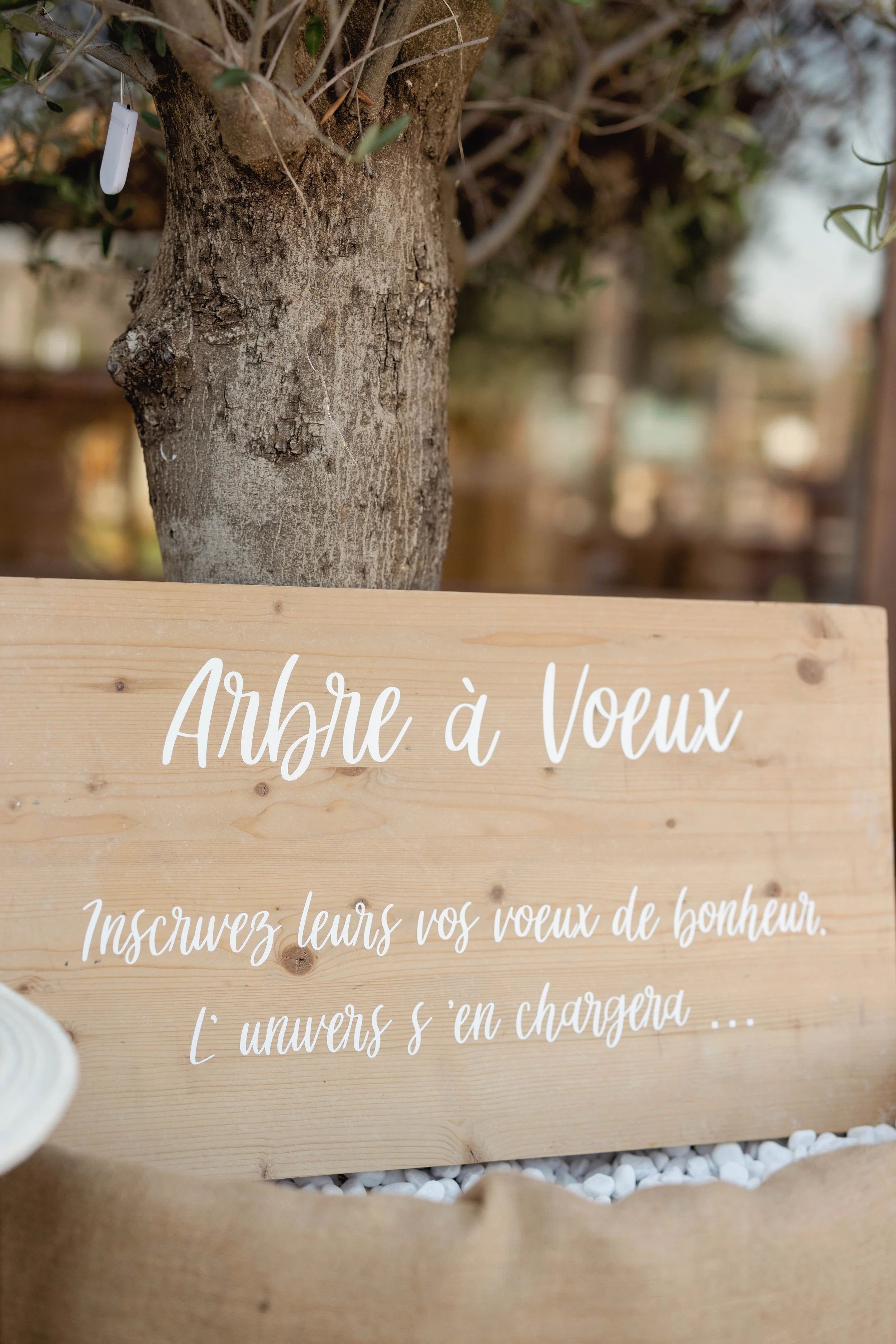 Virginie et Michael-1235.jpg