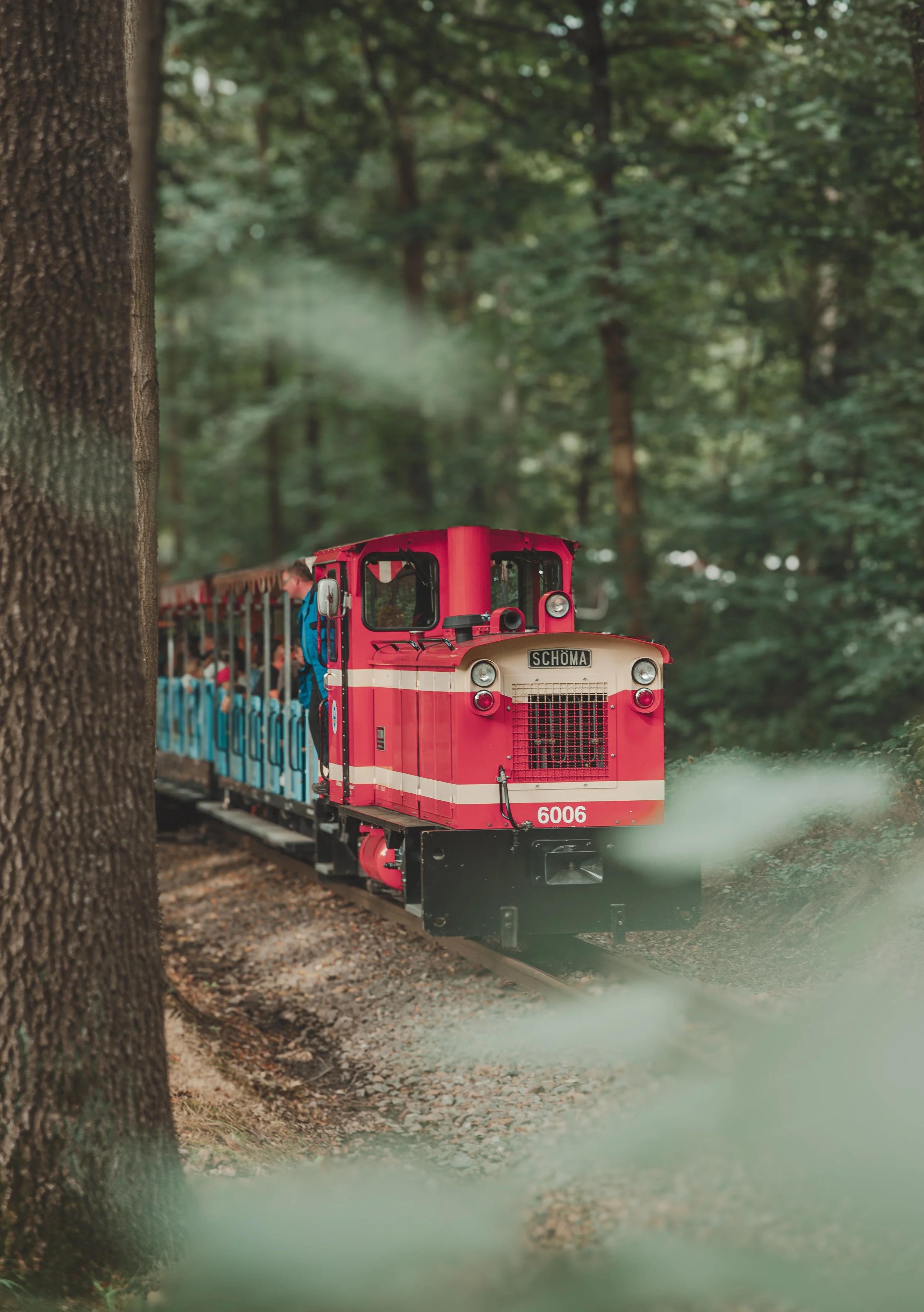 Steam Train.jpg