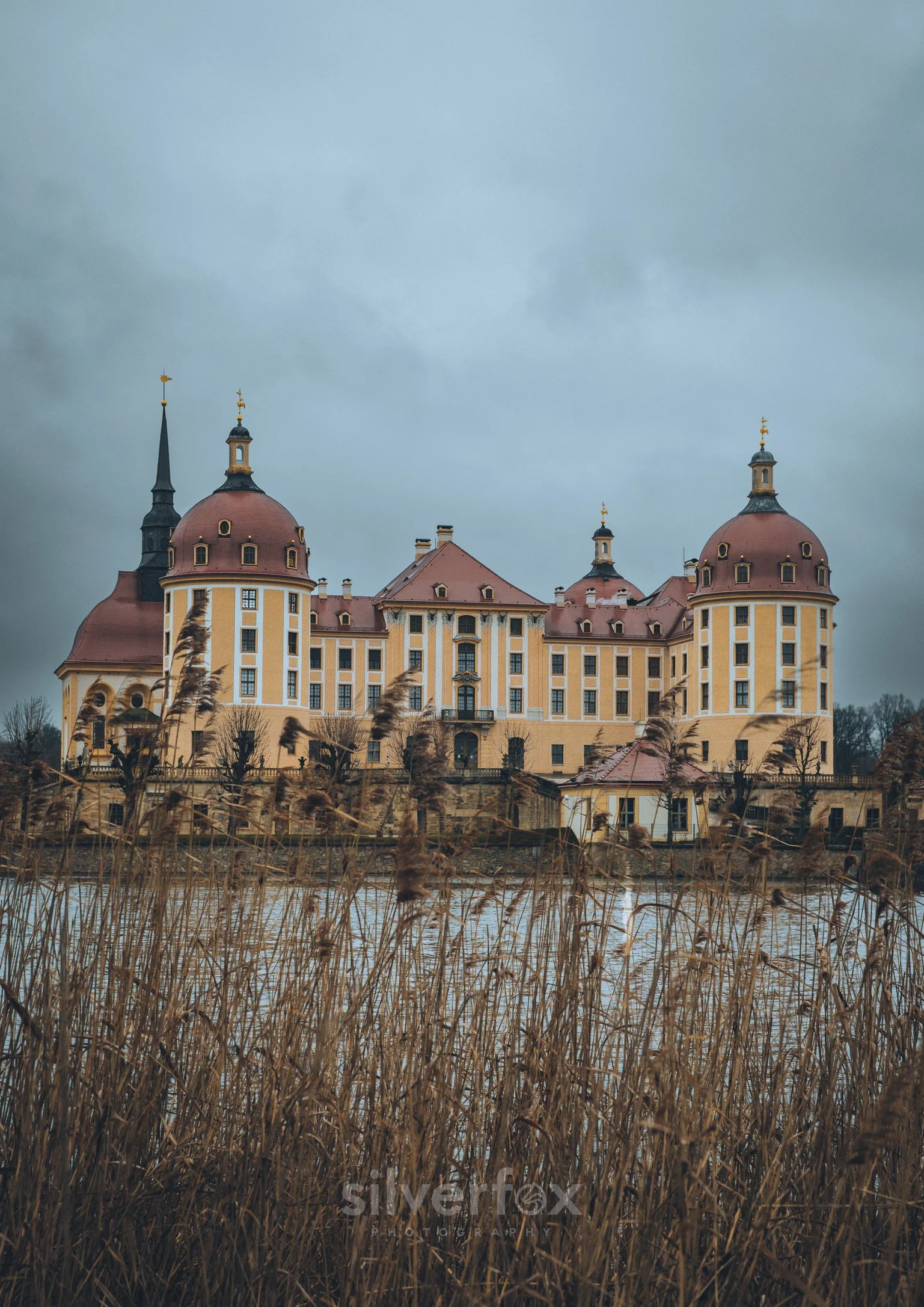 10 moritzburggrass.jpg