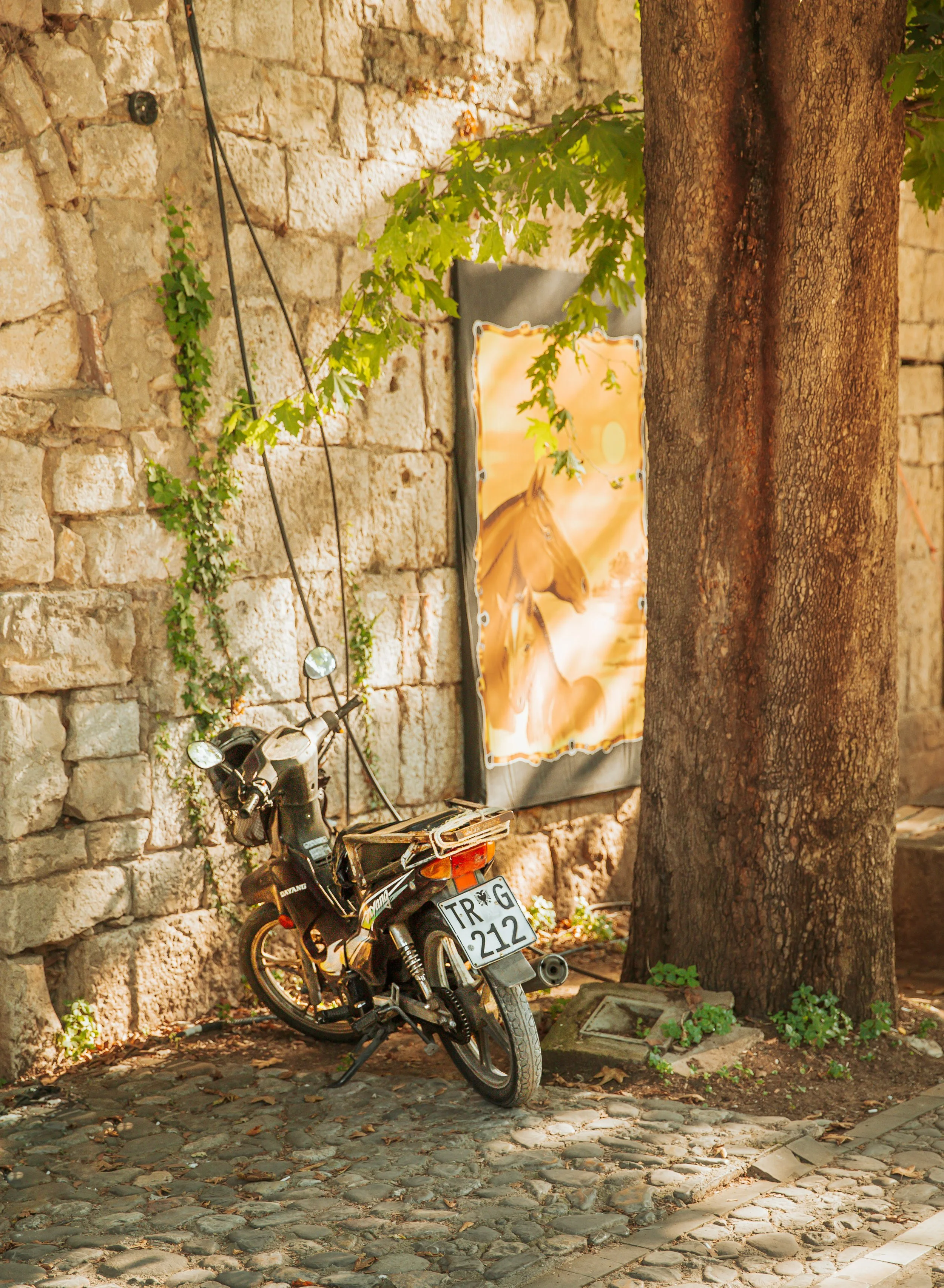 59 Tirana Bike.jpg