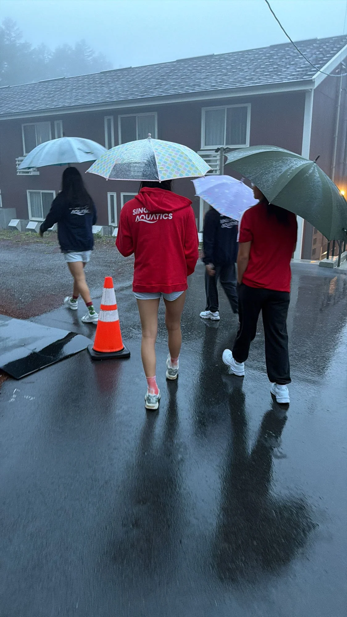 AD6E0428-10E3-4903-853D-849BA961DD8B.jpg