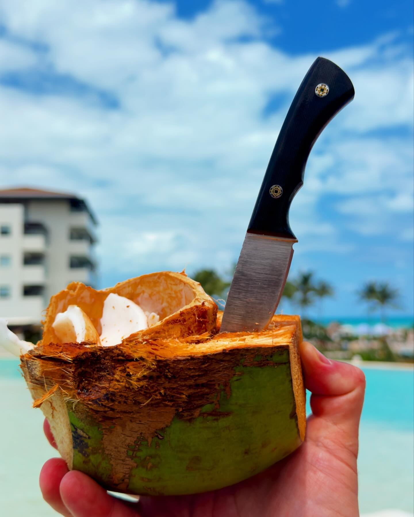 Some vacation time! Got to test out The Brother in MagnaCut at the beach, in the pool and busting open some coconuts. Still holding up a great edge! 

#handmade #knife #knives #blade #blades #sinanblades #sinan #steel #stainlesssteel #damascus #damas