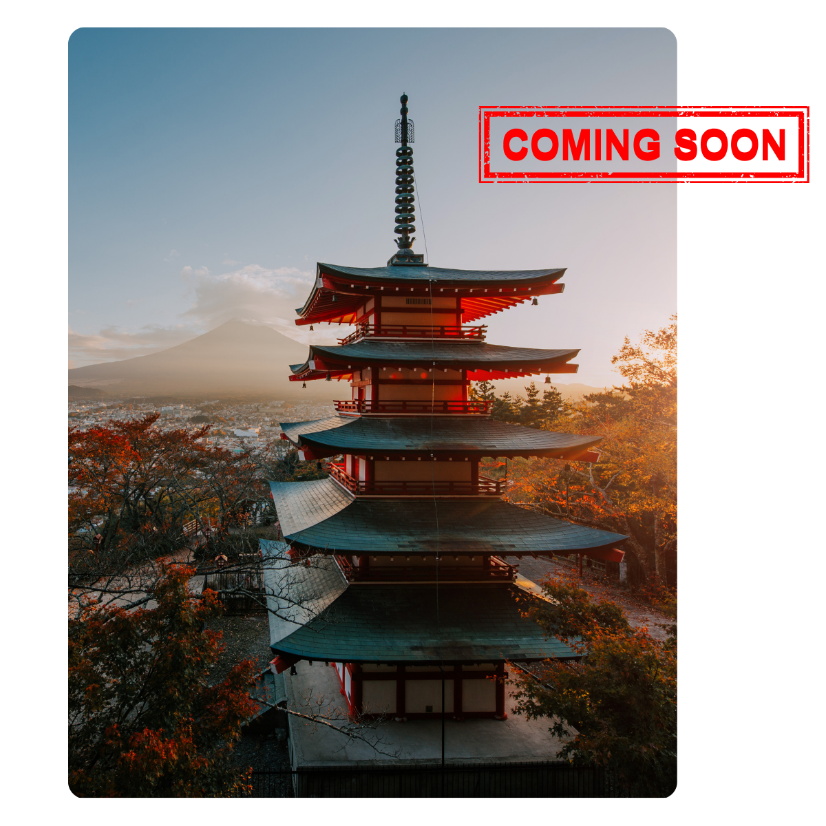Japan Nov 2026 - Join waitlist