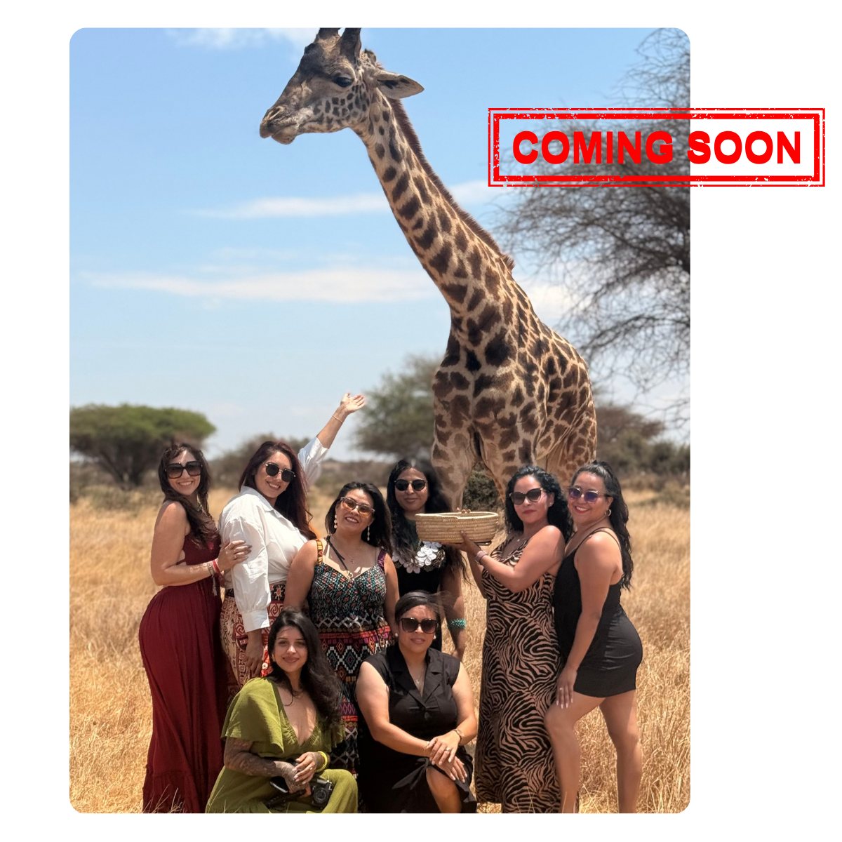 Safari July 2027