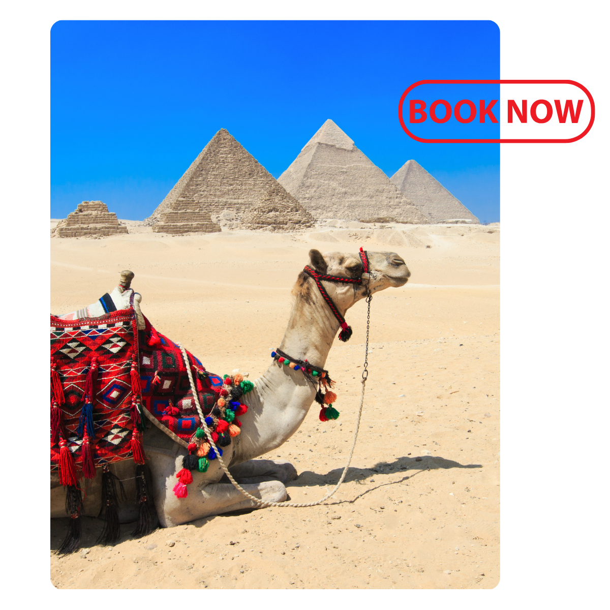 Egypt Couples Trip 2027