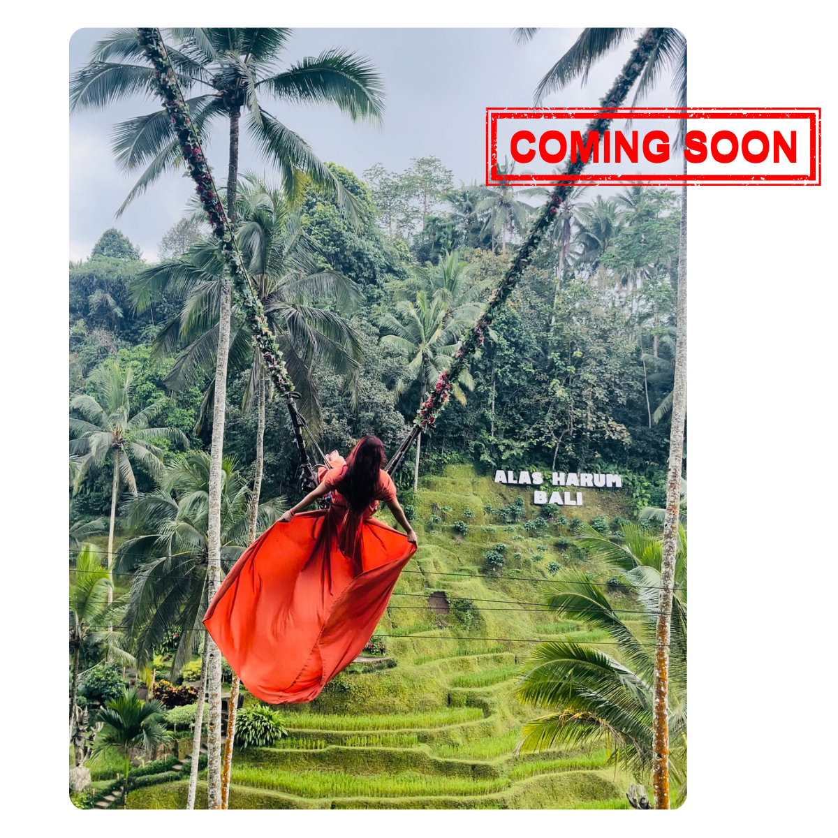 Bali June 2027 Early Access