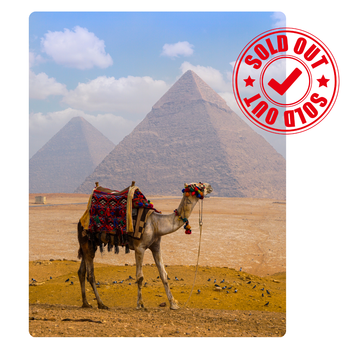 Egypt Couples Trip