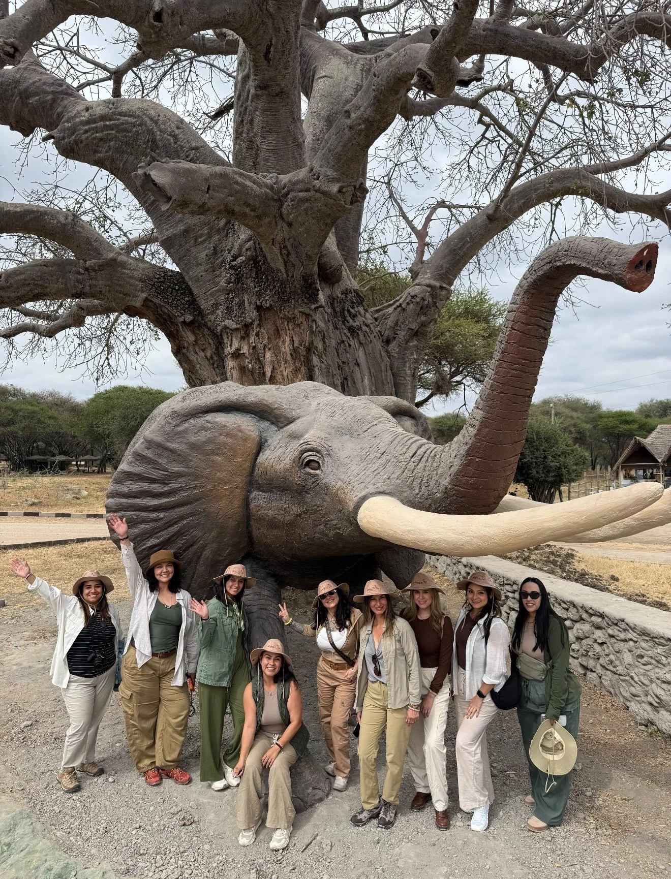 Blanca, Safari 2026