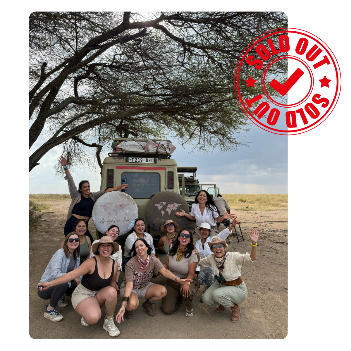Safari - Sold Out