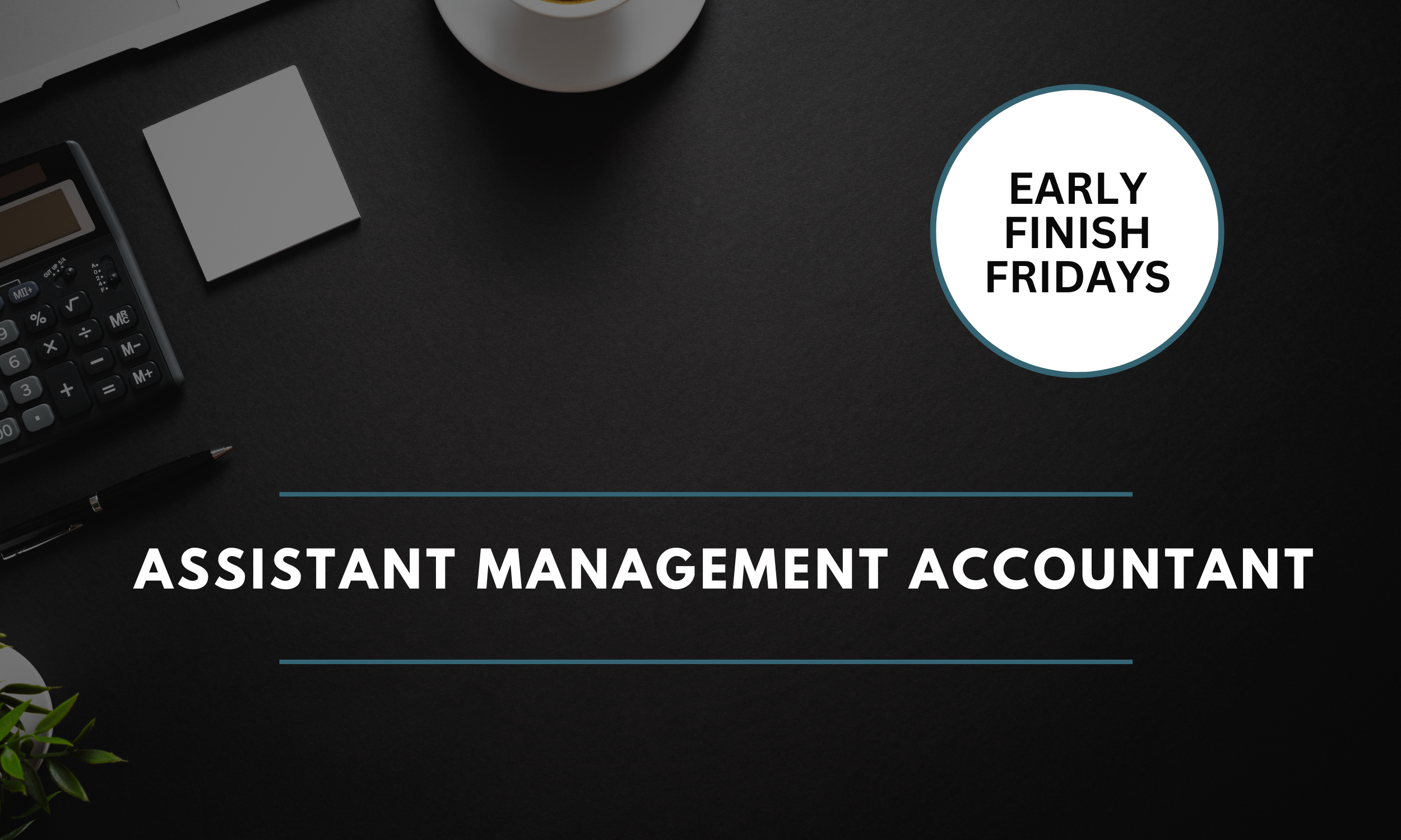 Assistant Management Accountant- Belfast- £35,000 - £38,000 (17331)
