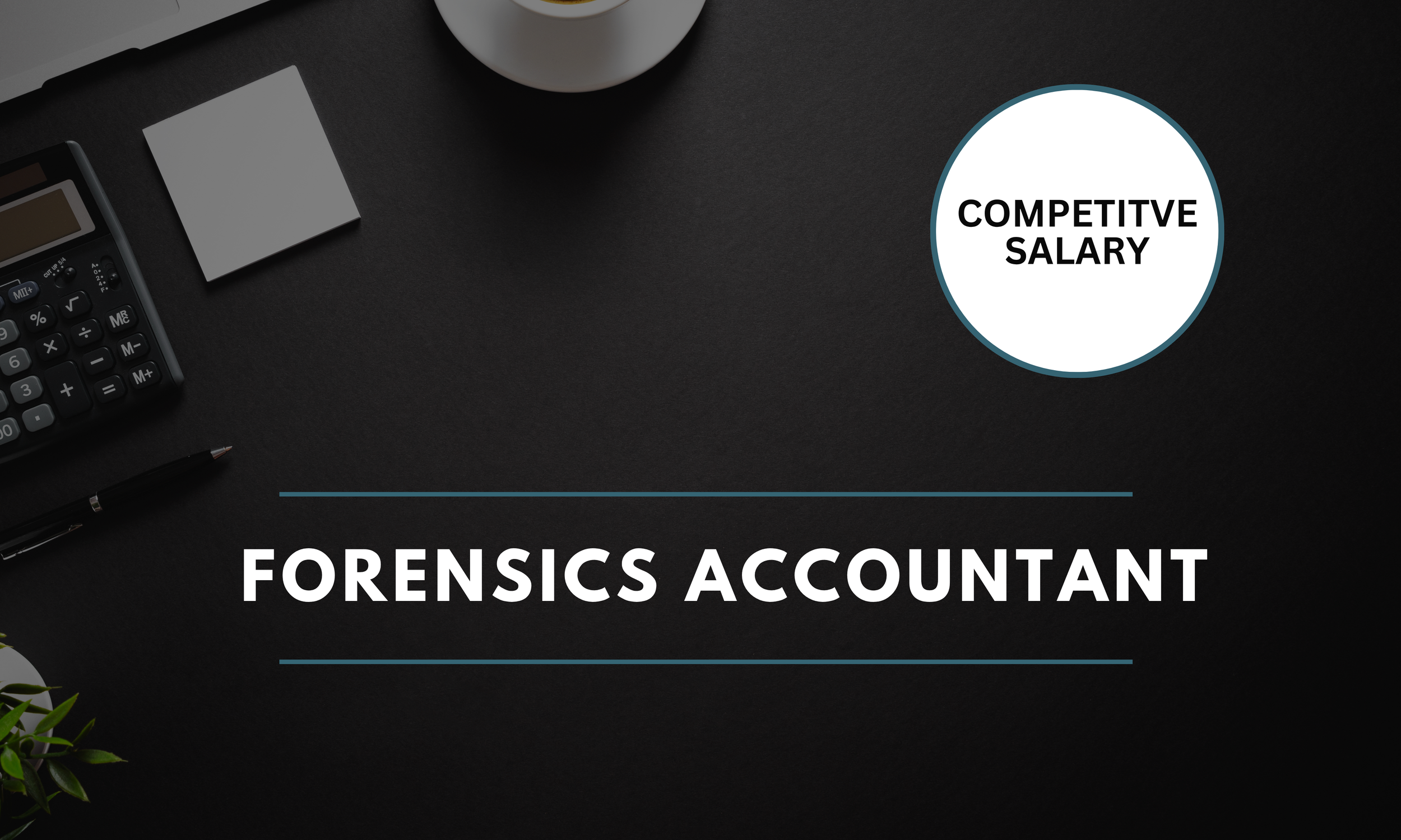 Forensics Accountant- Dublin -Up to €70,000 (33516)