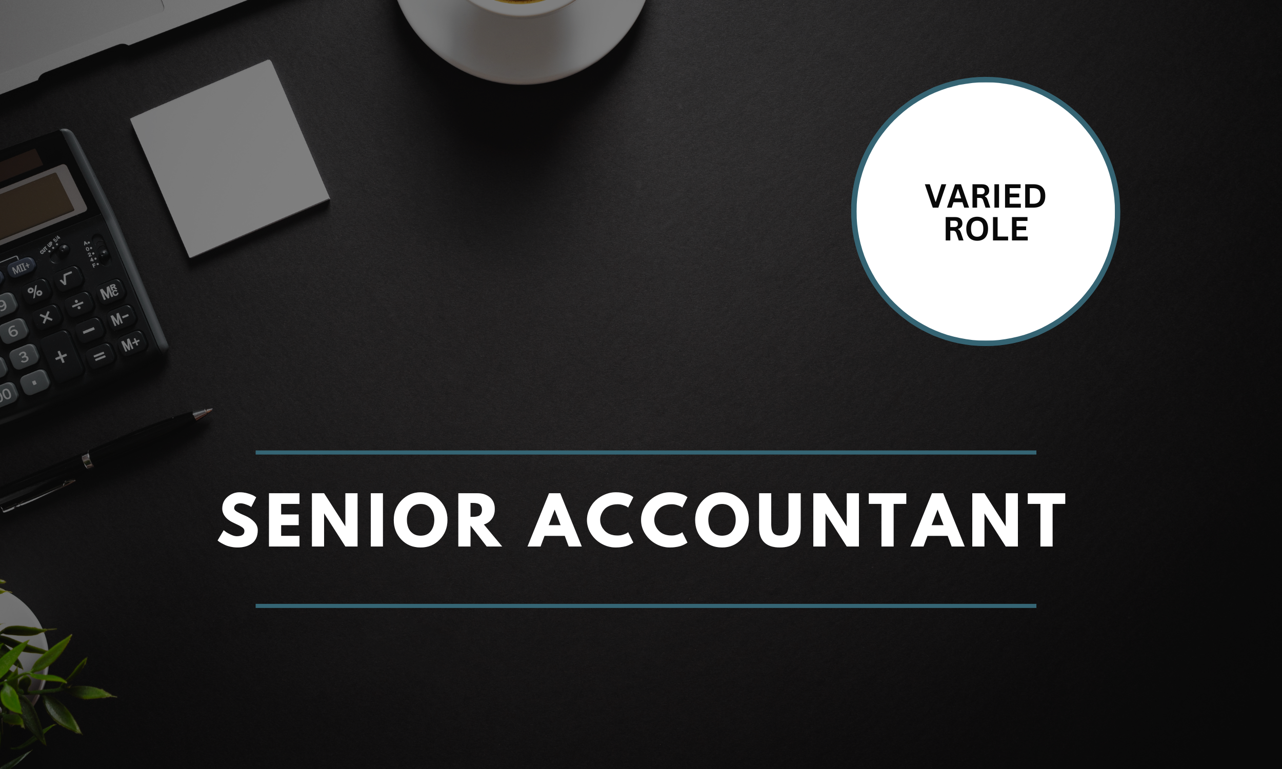 Senior Accountant – South Dublin – €55,000 - €65,000 (24886) 