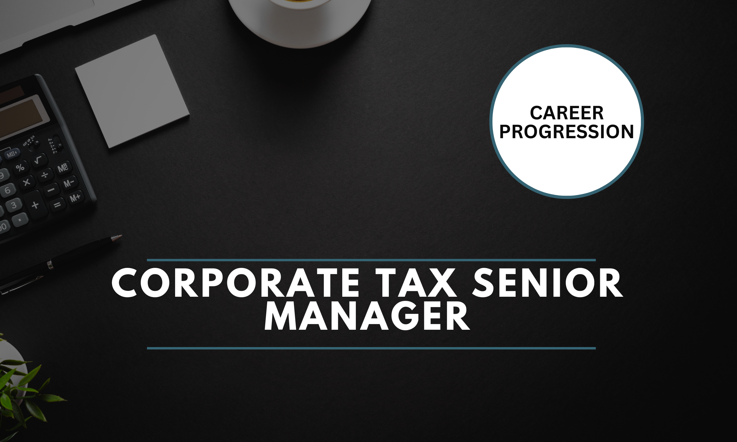 Corporate Tax Senior Manager - Dublin- €85,000-€95,000 (28050) 