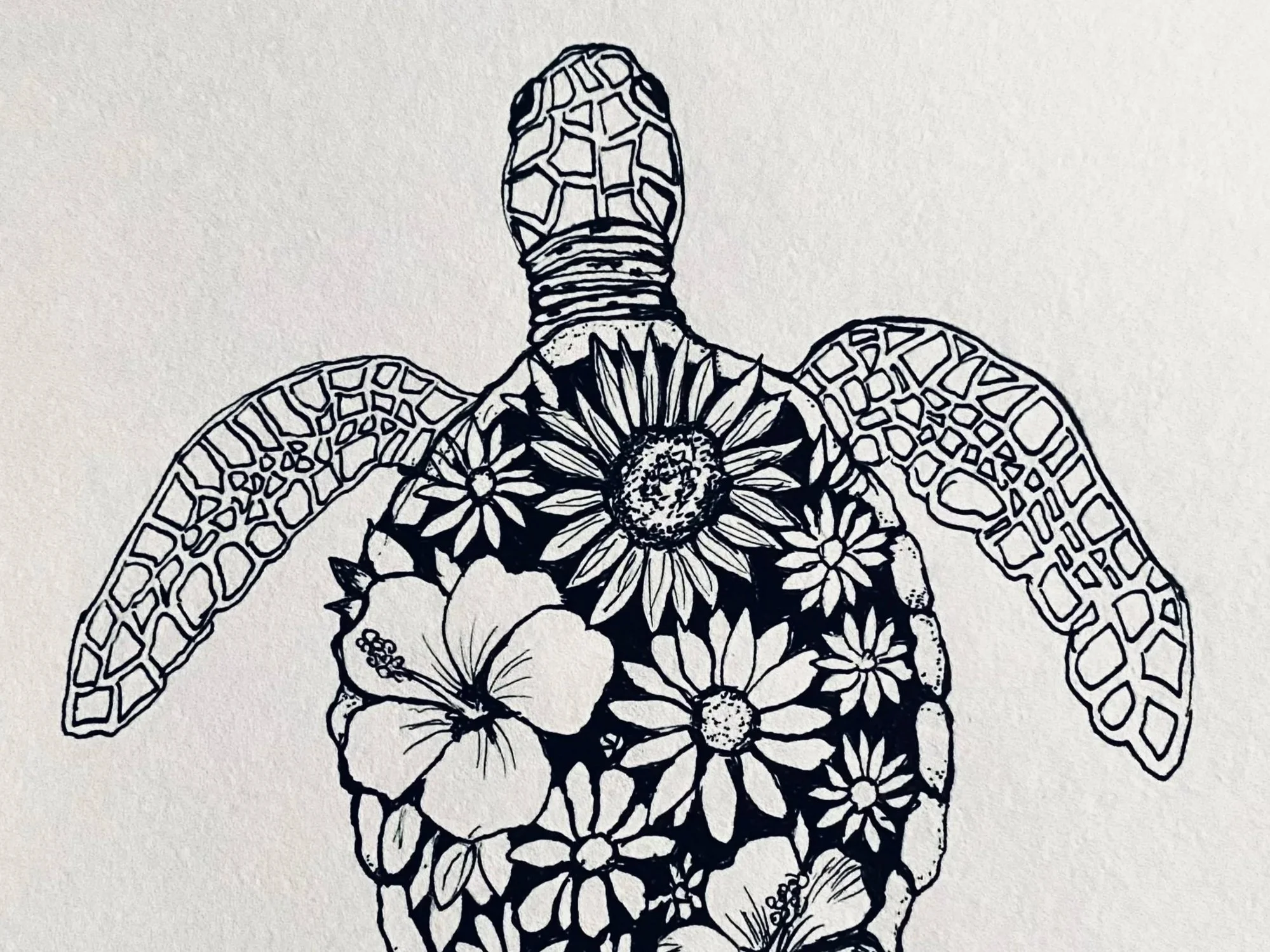 Die Schildkröte mit dem Blumengarten