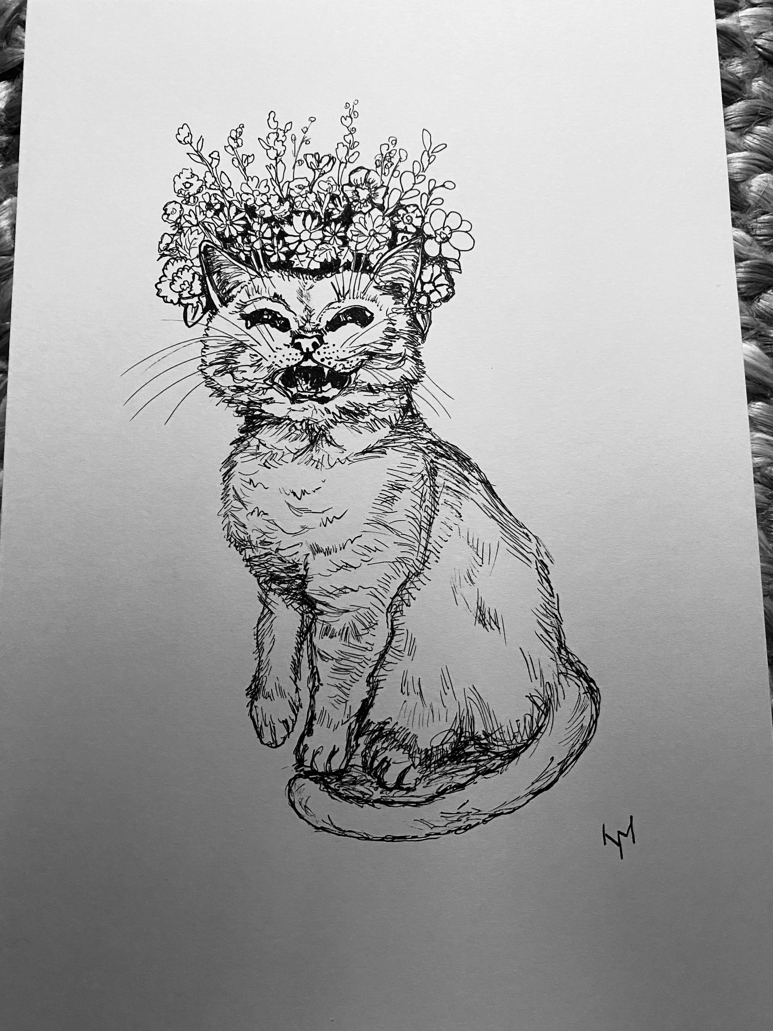 Frida Catlho 🐈🌸🌻🌼🌺