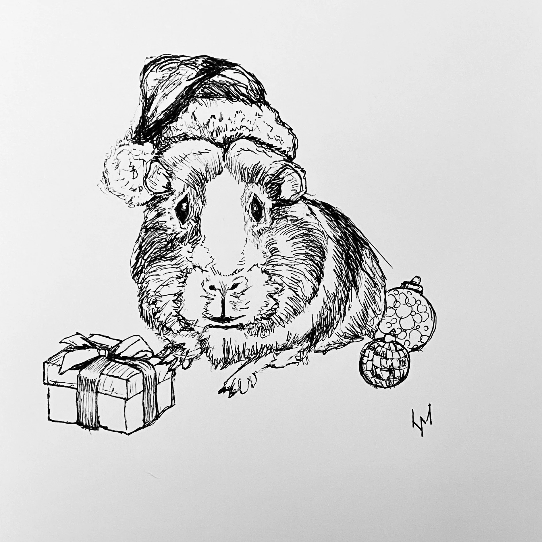 Weihnachts-Meerschweinchen