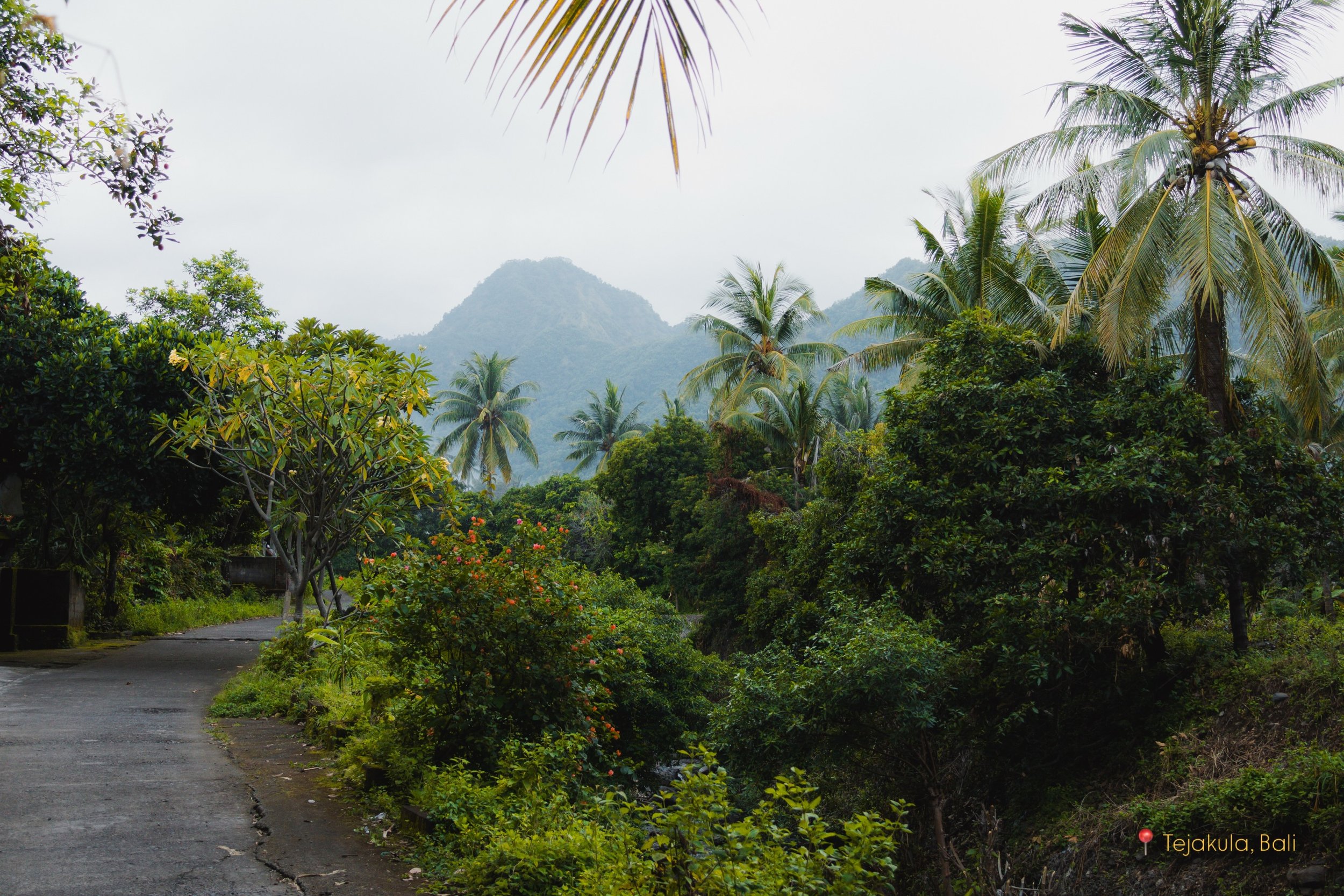 bali landscapes ~ tejakula, amed, ubud