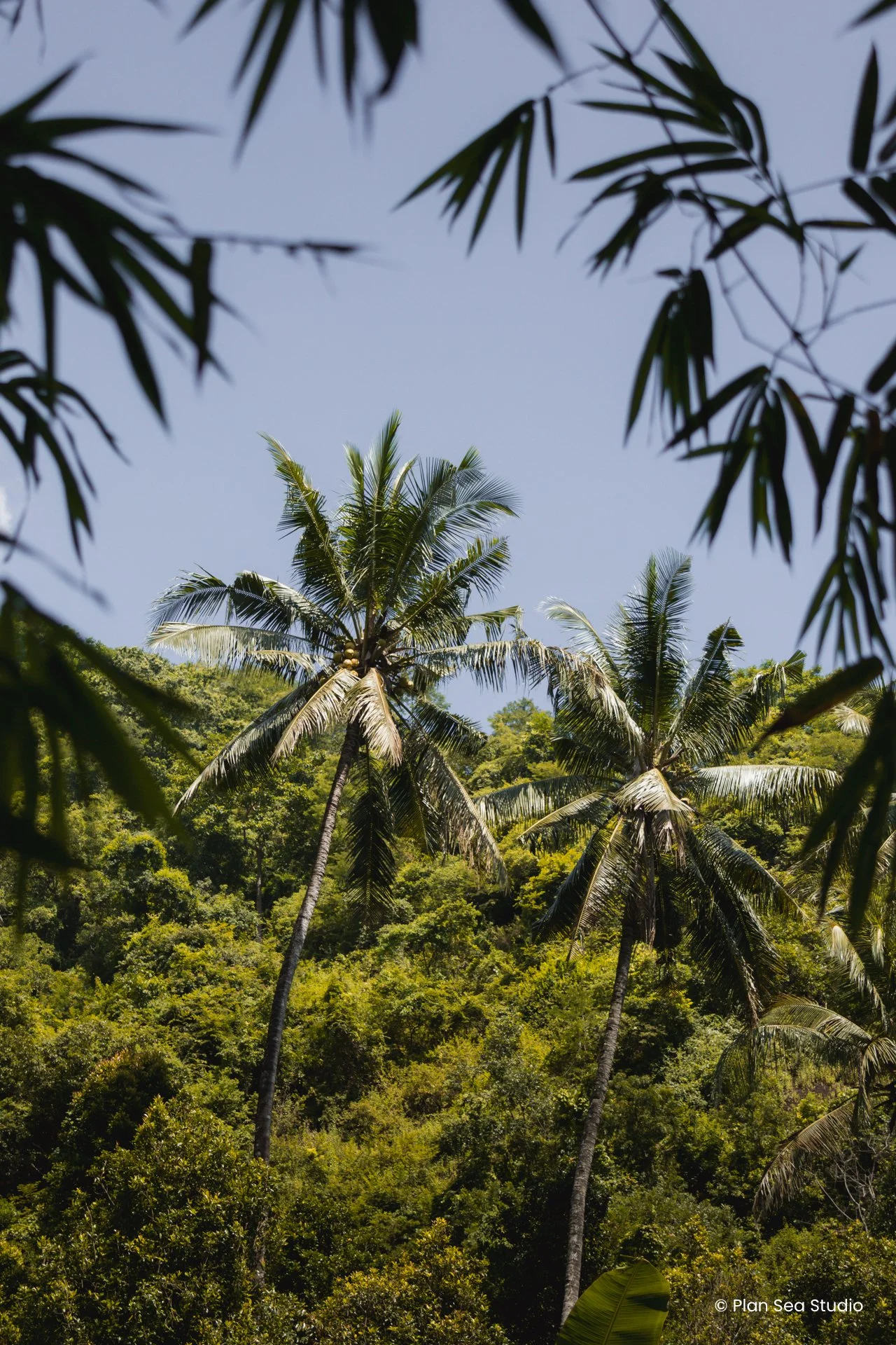 IndonesiaPortfolio-31.jpg