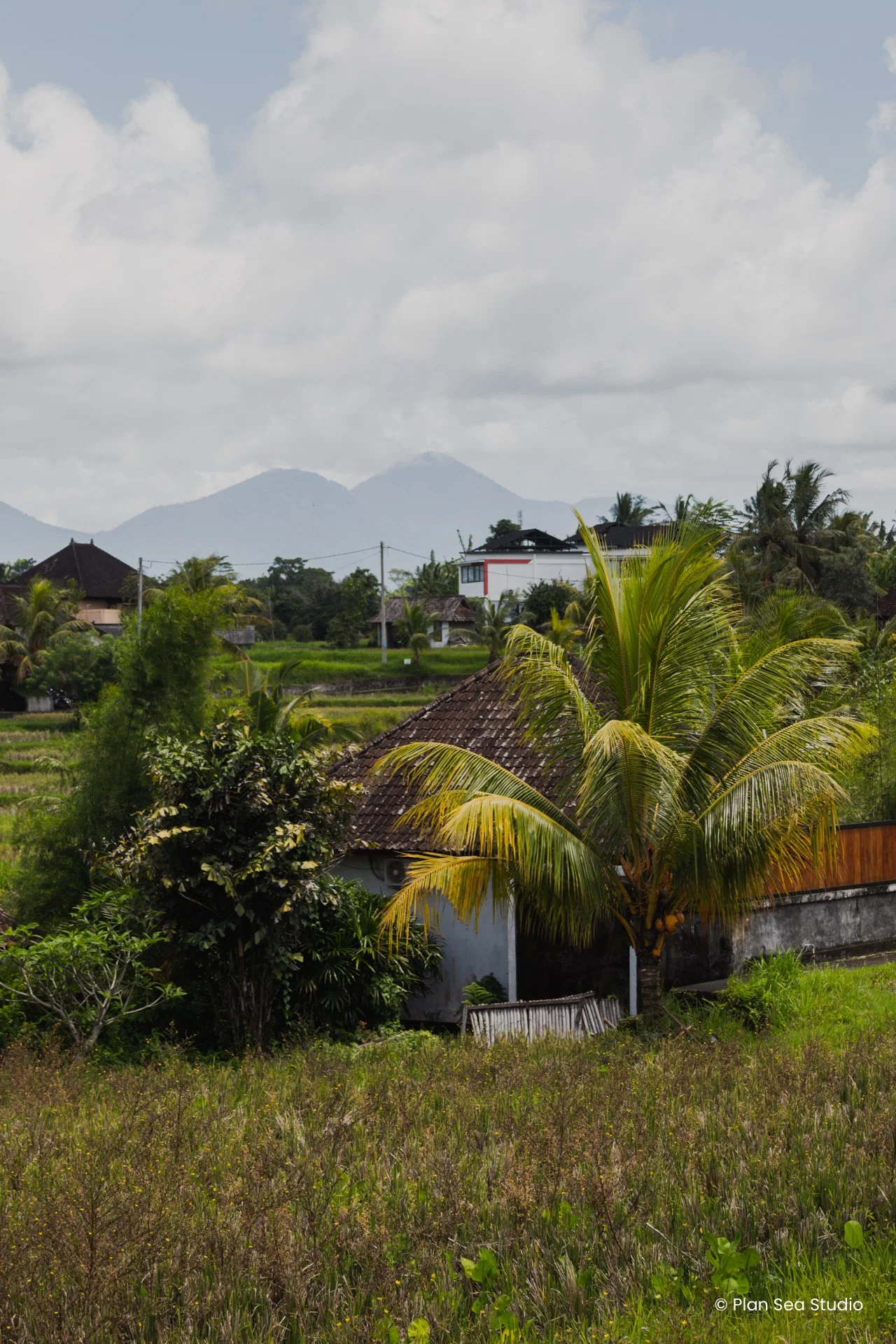 IndonesiaPortfolio-11.jpg