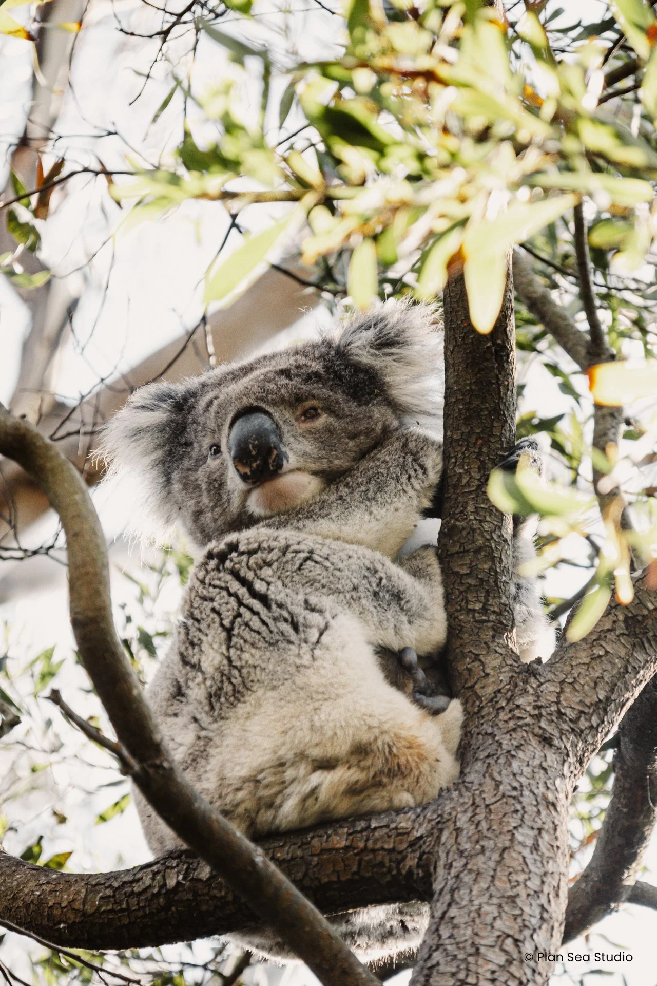 AustraliaPortfolio-35.jpg