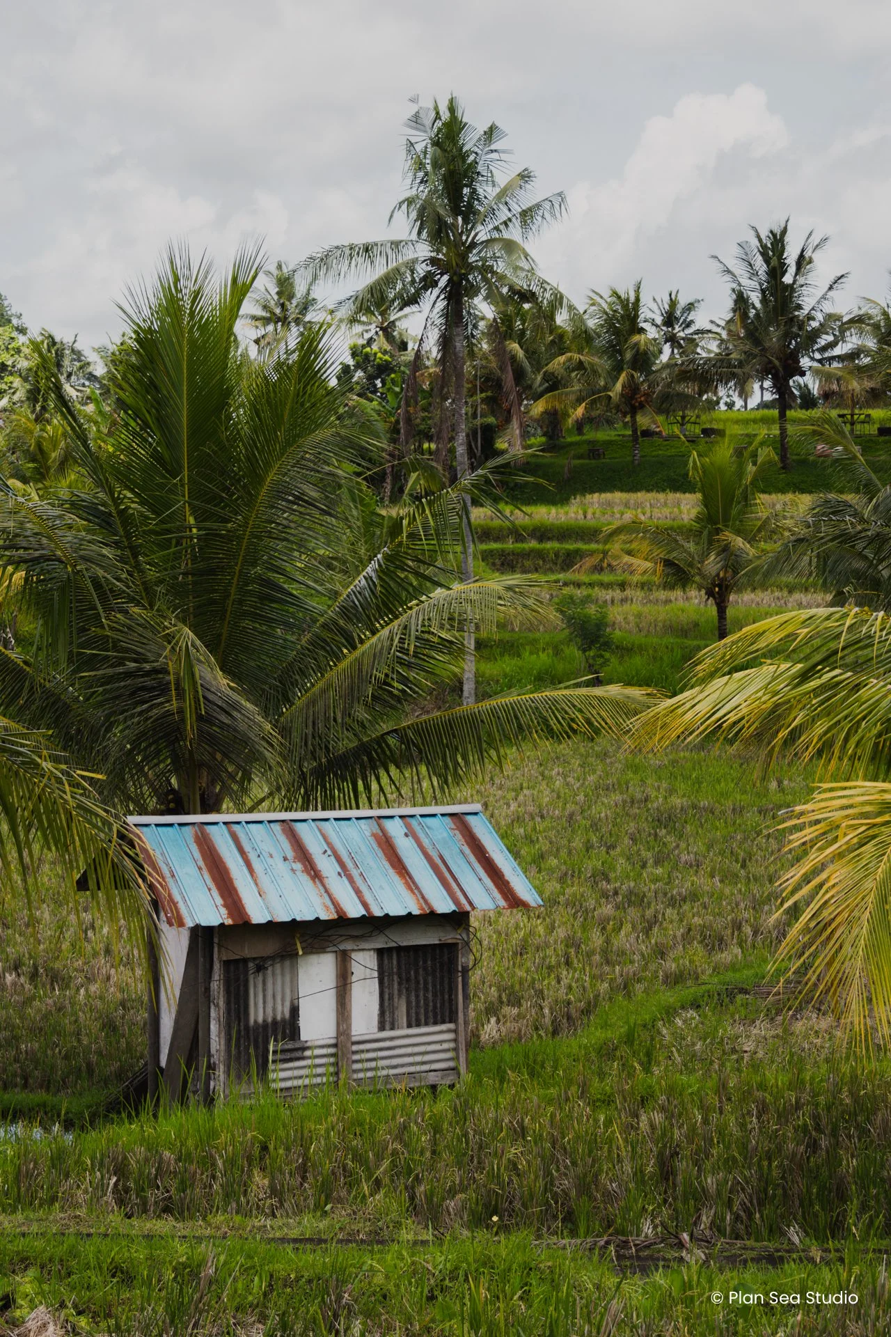 IndonesiaPortfolio-12.jpg