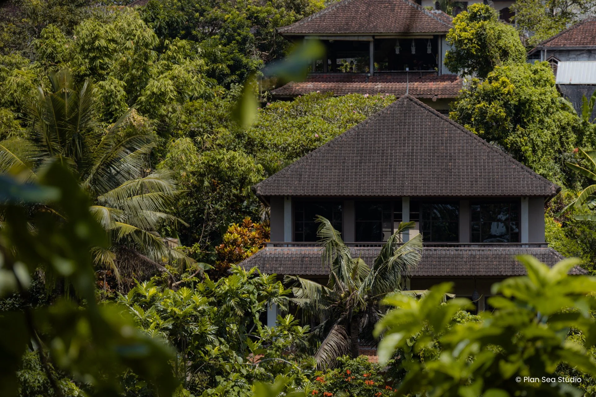 IndonesiaPortfolio-7.jpg