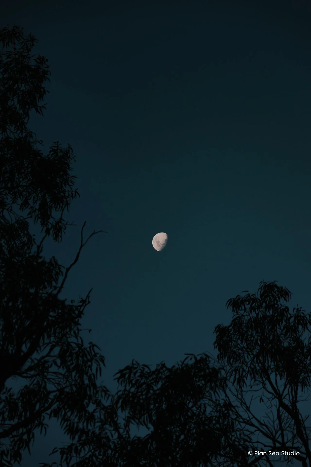 AustraliaPortfolio-24.jpg