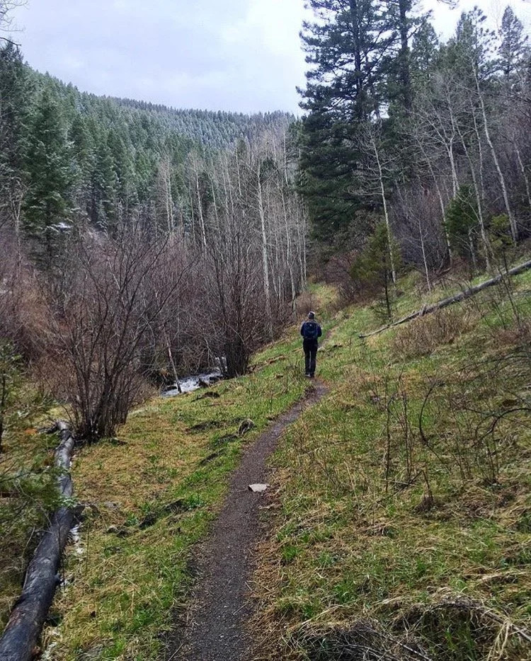 Taking the Scenic Route