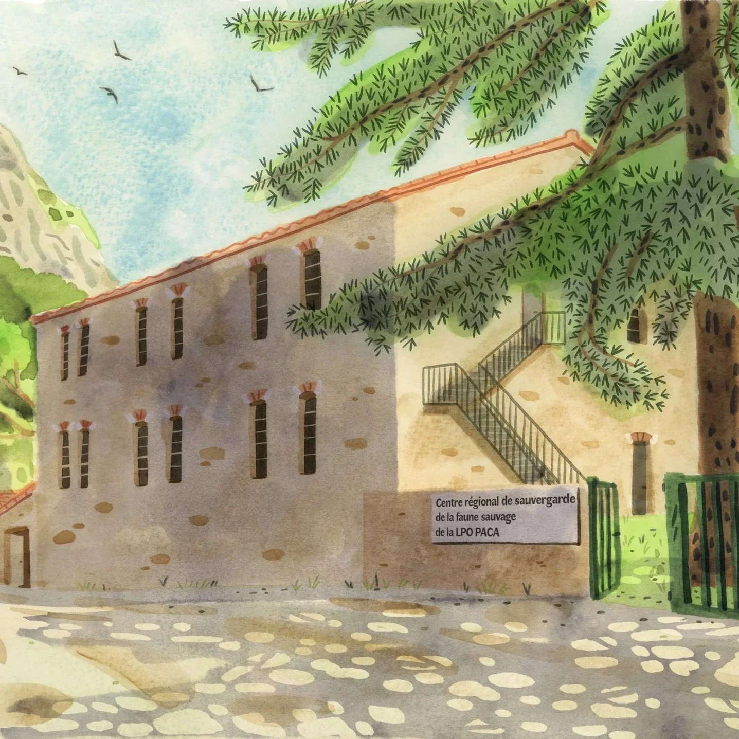 Projet d'aménagement – LPO PACA
