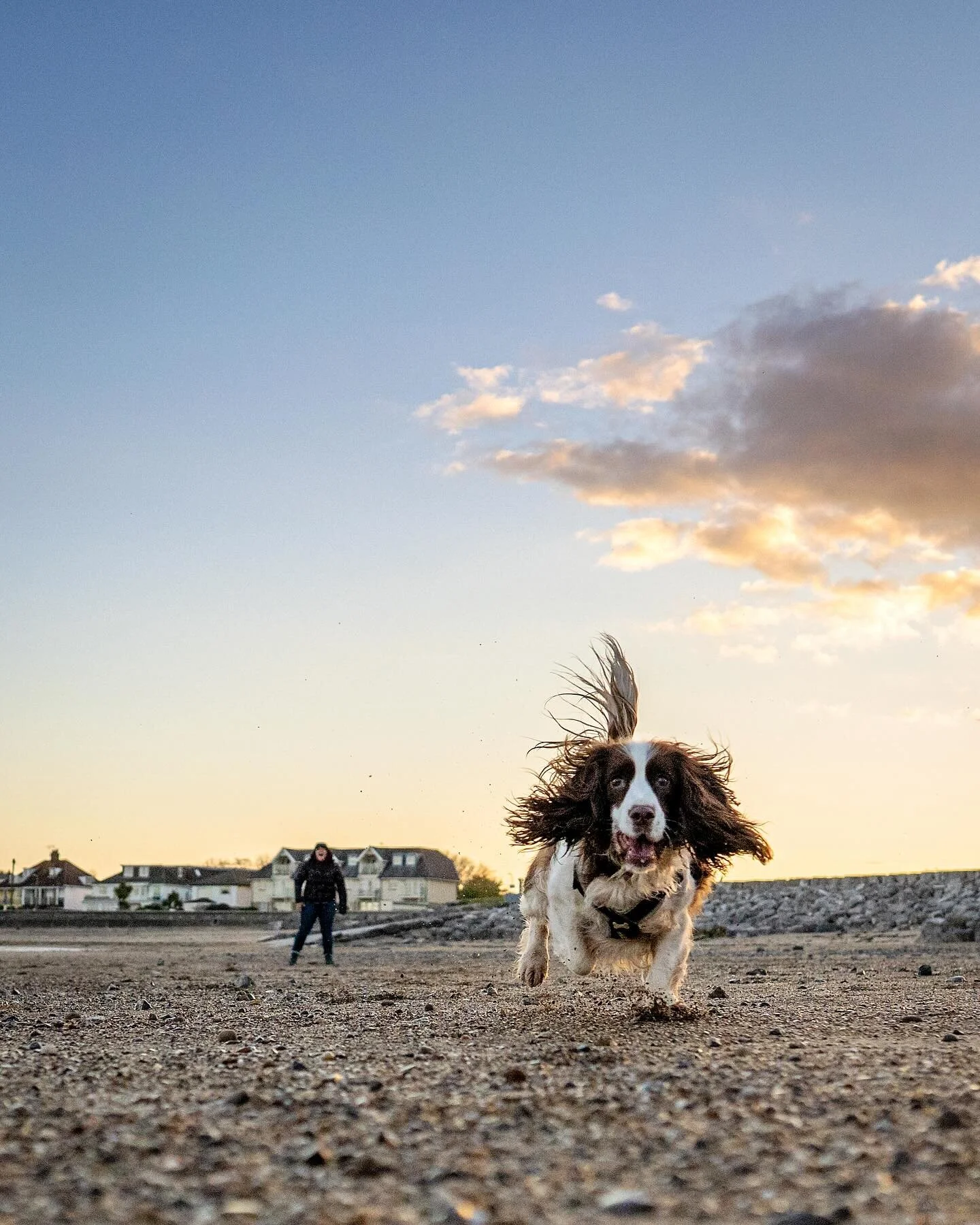 Hey pet pals!
Your chance to shine is slipping away &ndash; just one week left for two lucky winners to grab one exclusive pet photography session each! 📸✨ The winners will be announced on Valentine&rsquo;s Day, so hit that follow button to stay in 