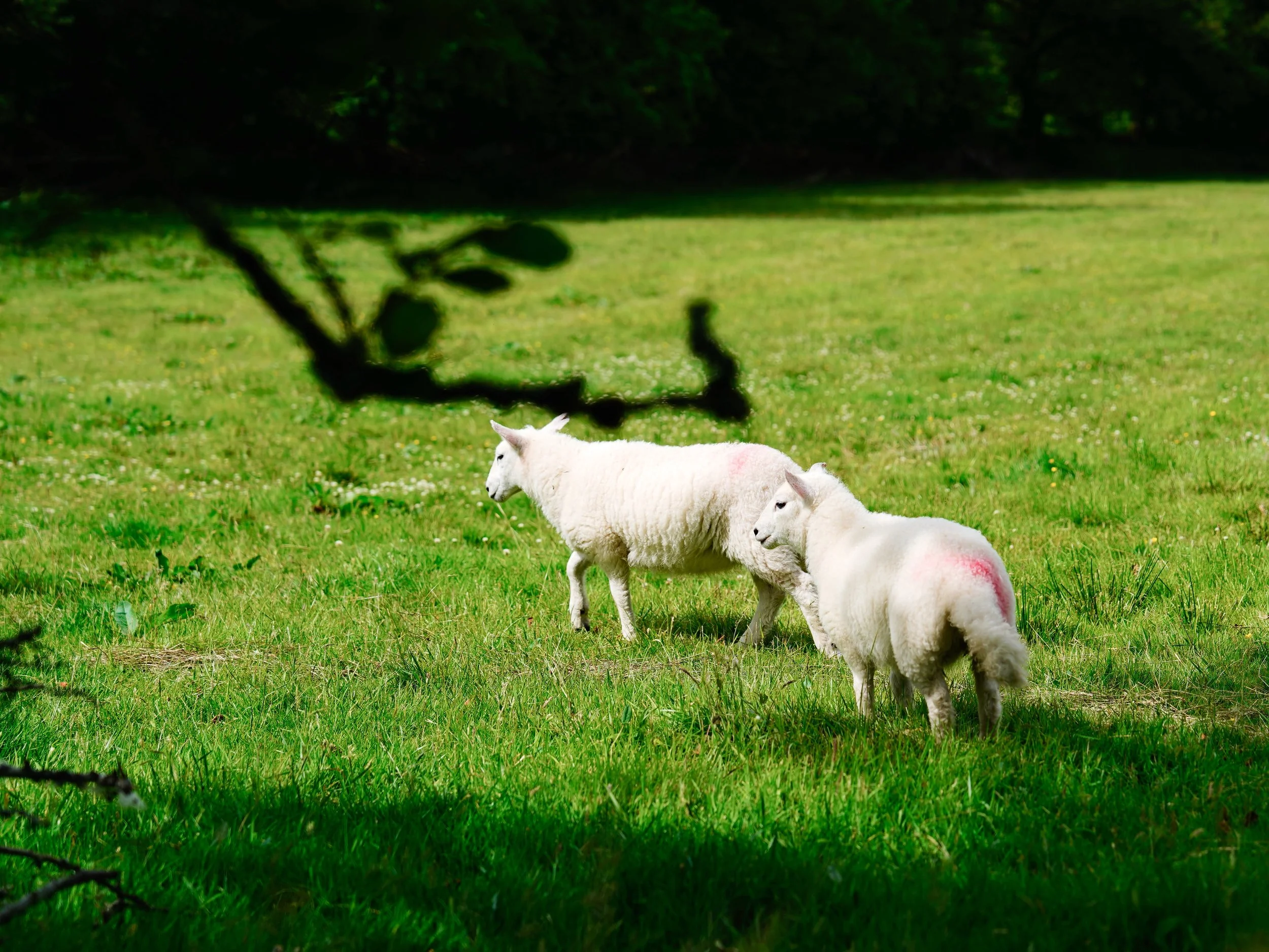 HJBphotography.com_SouthWalesAdventurers_21June__60.jpg