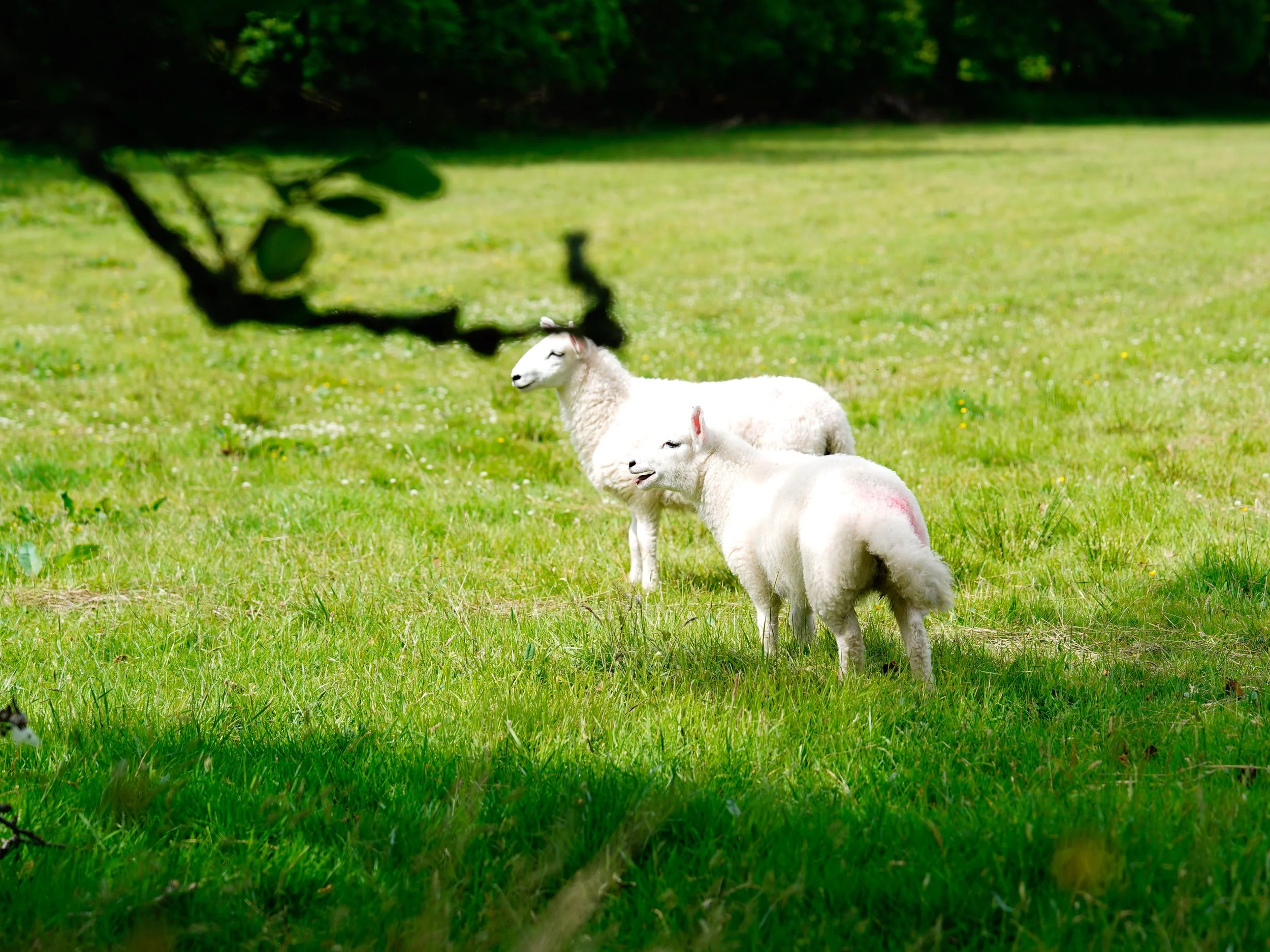 HJBphotography.com_SouthWalesAdventurers_21June__59.jpg
