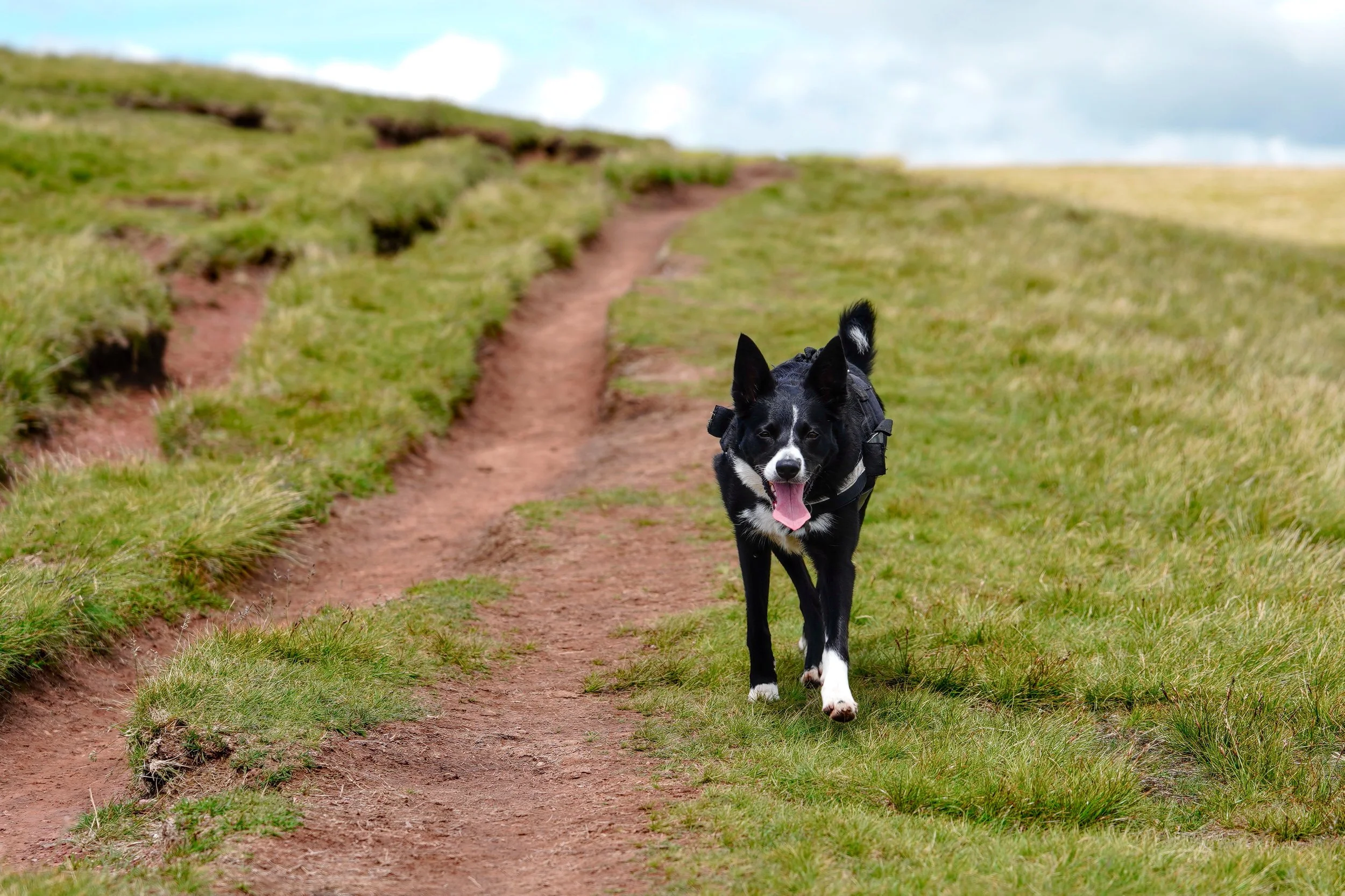 HJBphotography.com_SouthWalesAdventurers_21June__38.jpg