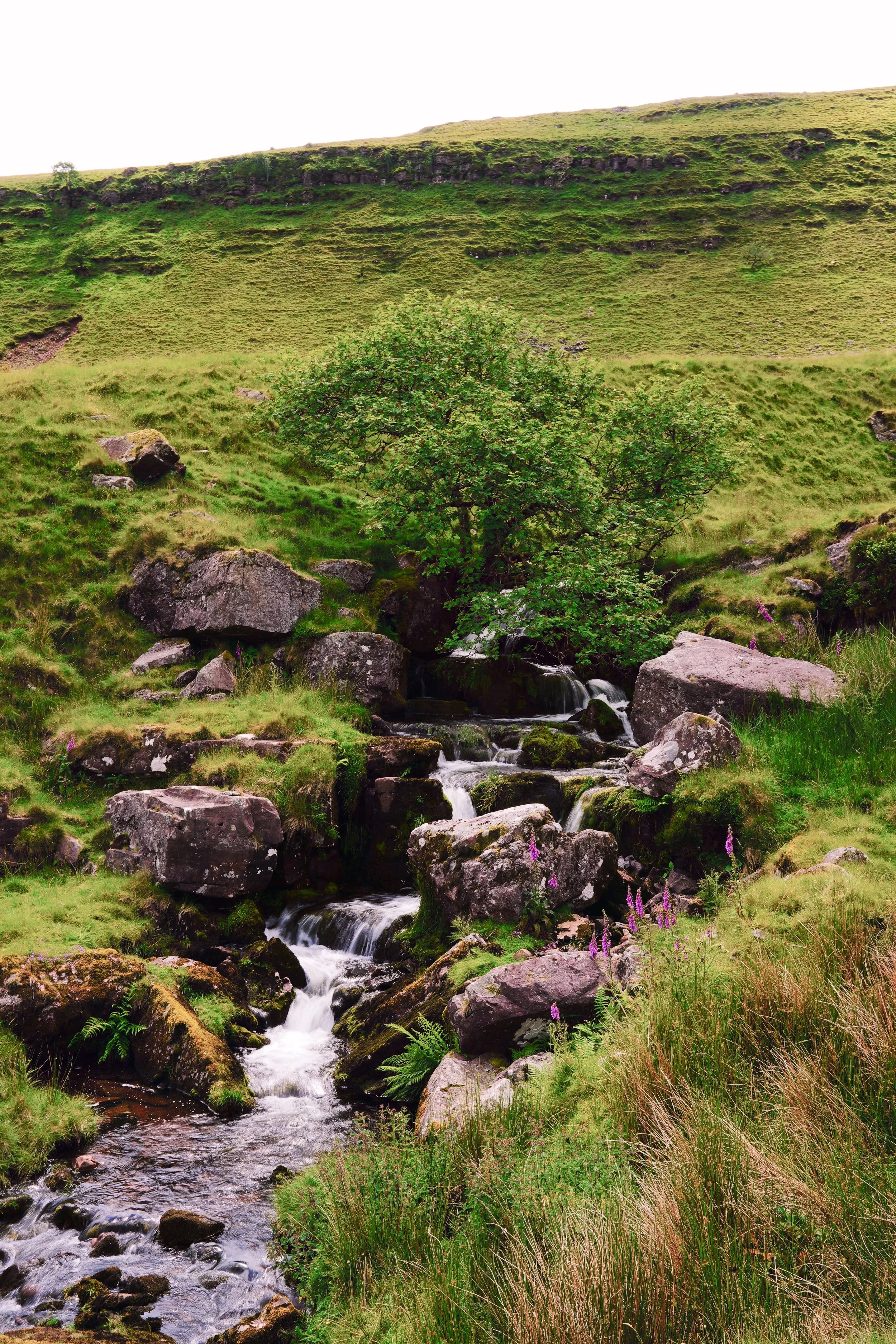 HJBphotography.com_SouthWalesAdventurers_21June__55.jpg