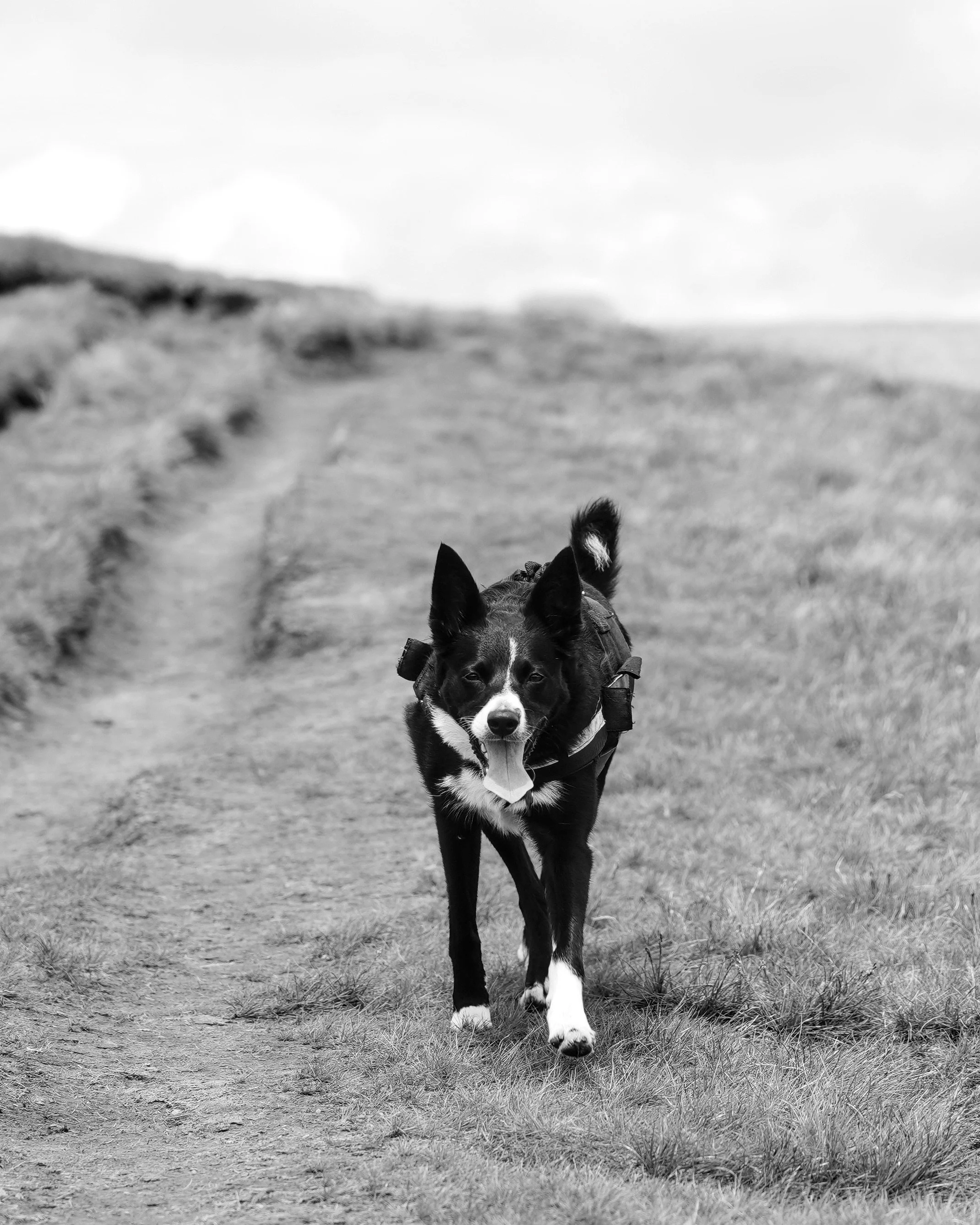 HJBphotography.com_SouthWalesAdventurers_21June__39.jpg