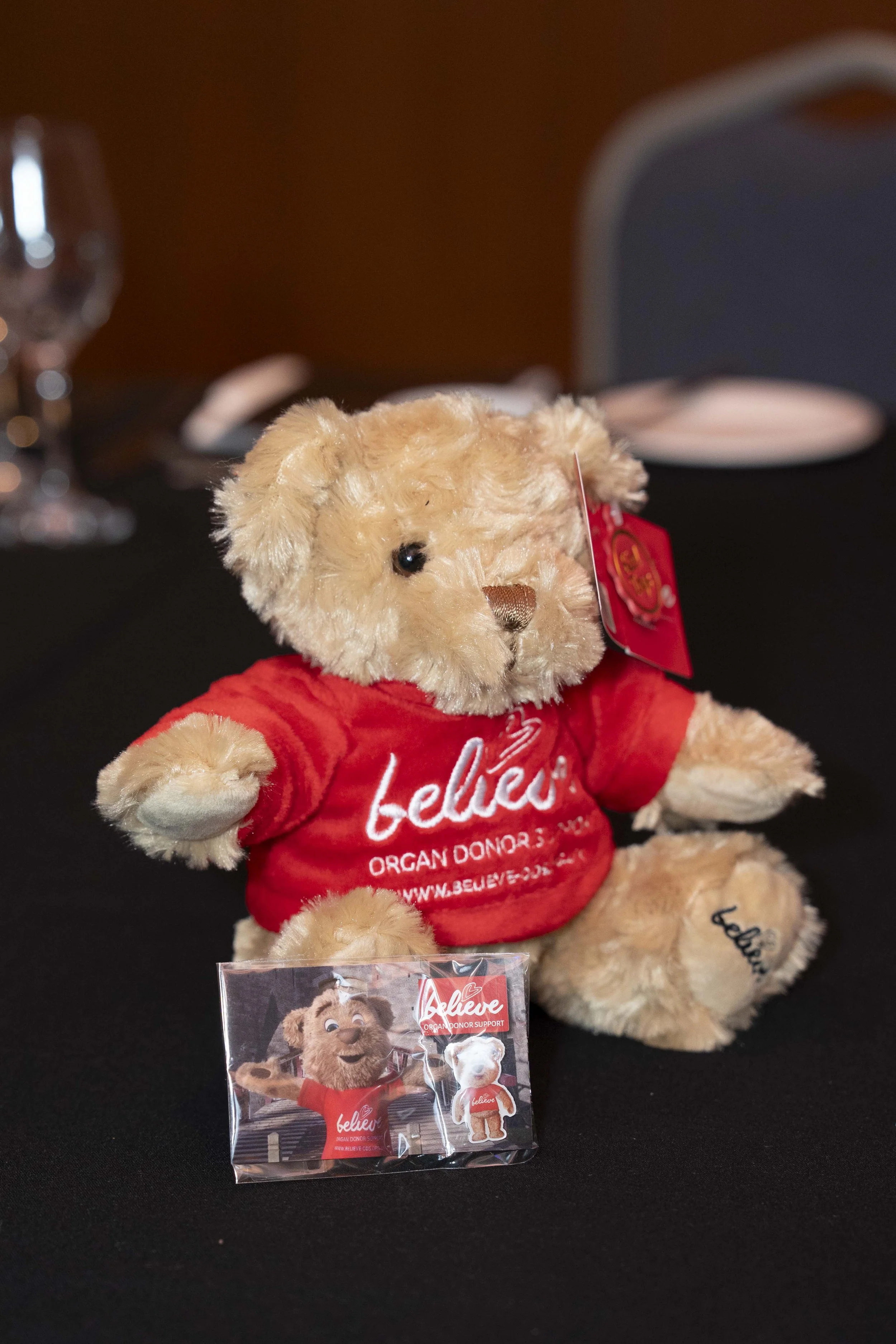 WelshHealthcareAwards2025_Sponsors and The Venue_019_HJBphotography.com.jpg